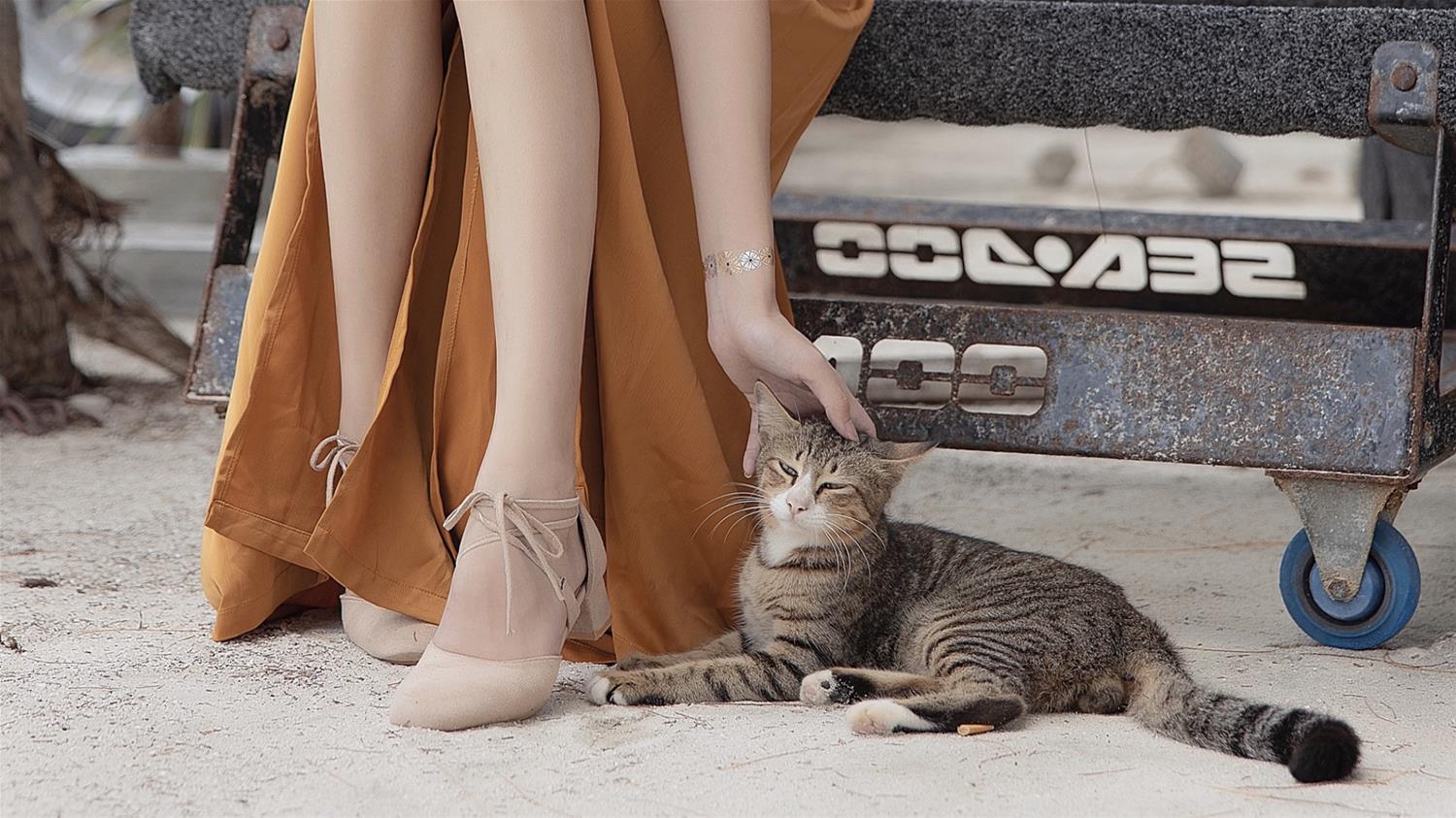 南桃Momoko 黄裤 [10P-11MB]