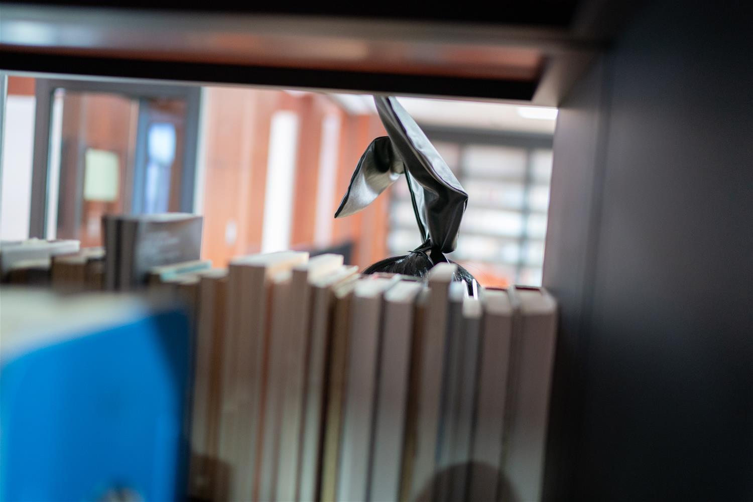 爱老师_PhD 兔女郎学姐 [8P-102MB]