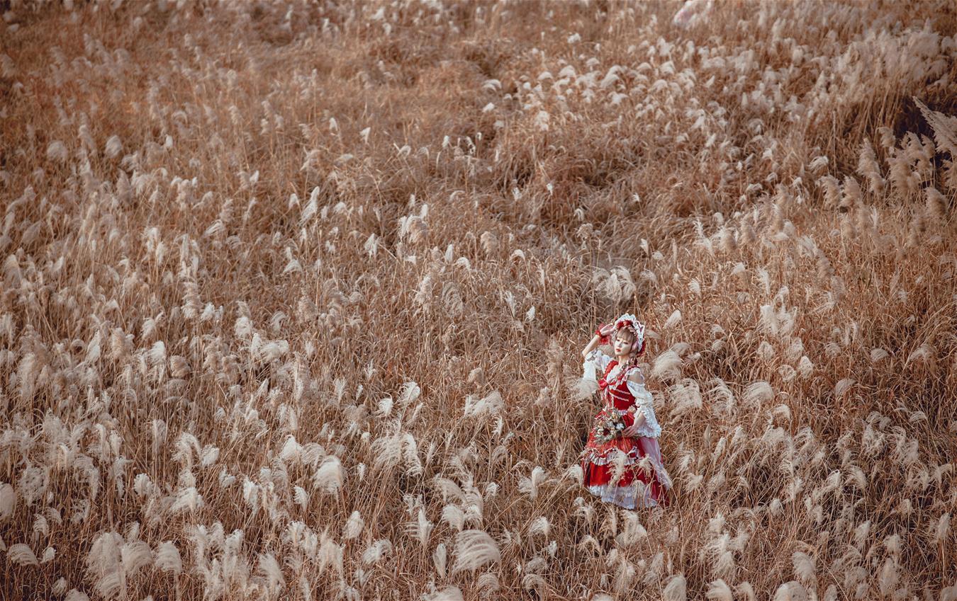 阿包也是兔娘 lolita红裙 [12P-160MB]