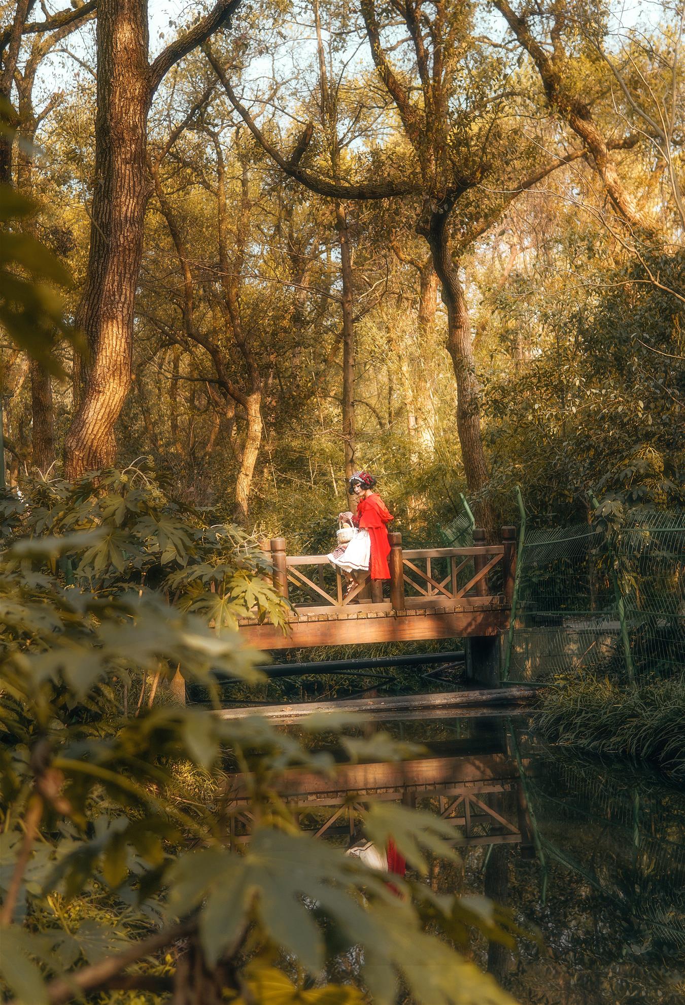 阿包也是兔娘 lolita红裙2 [28P-357MB]