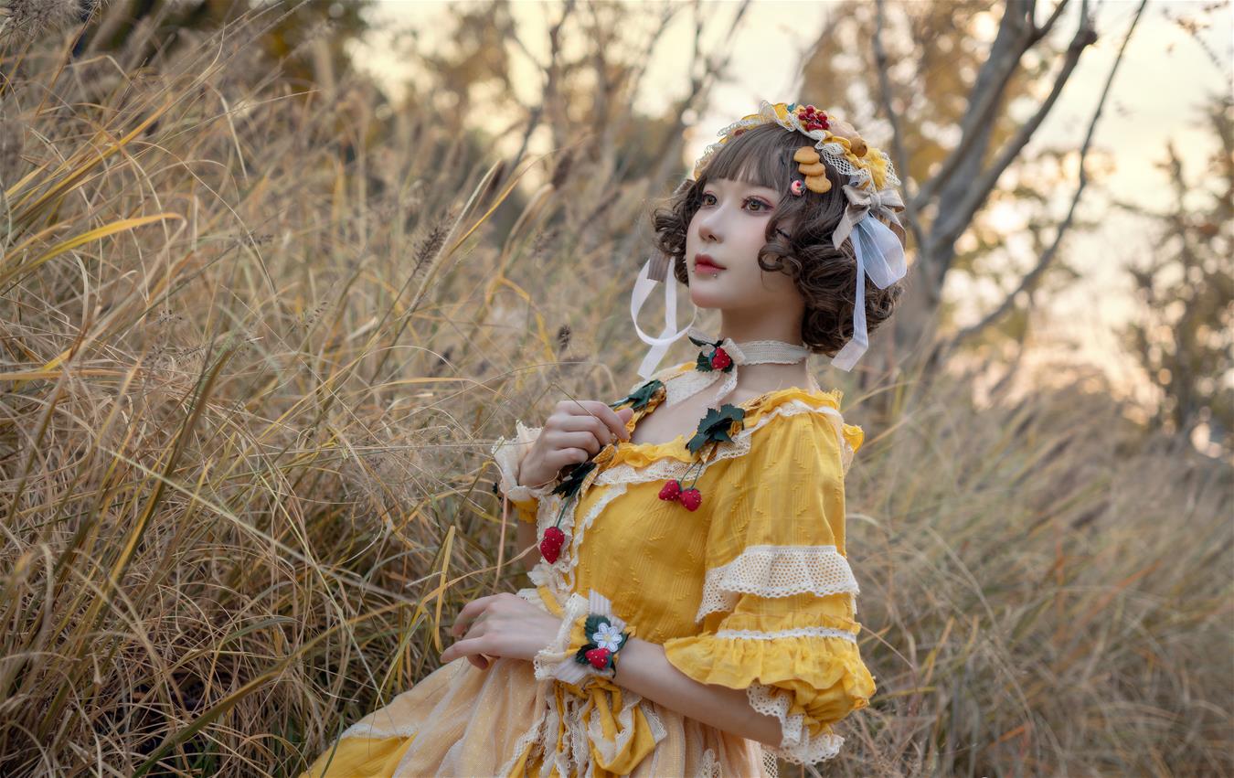 阿包也是兔娘 lolita黄裙 [12P-97MB]