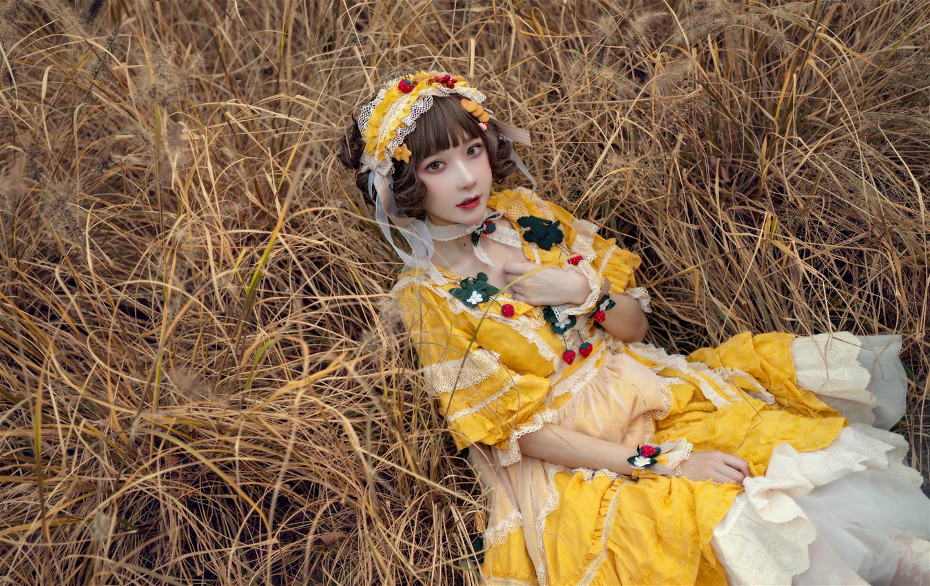 阿包也是兔娘 lolita黄裙 [12P-97MB]