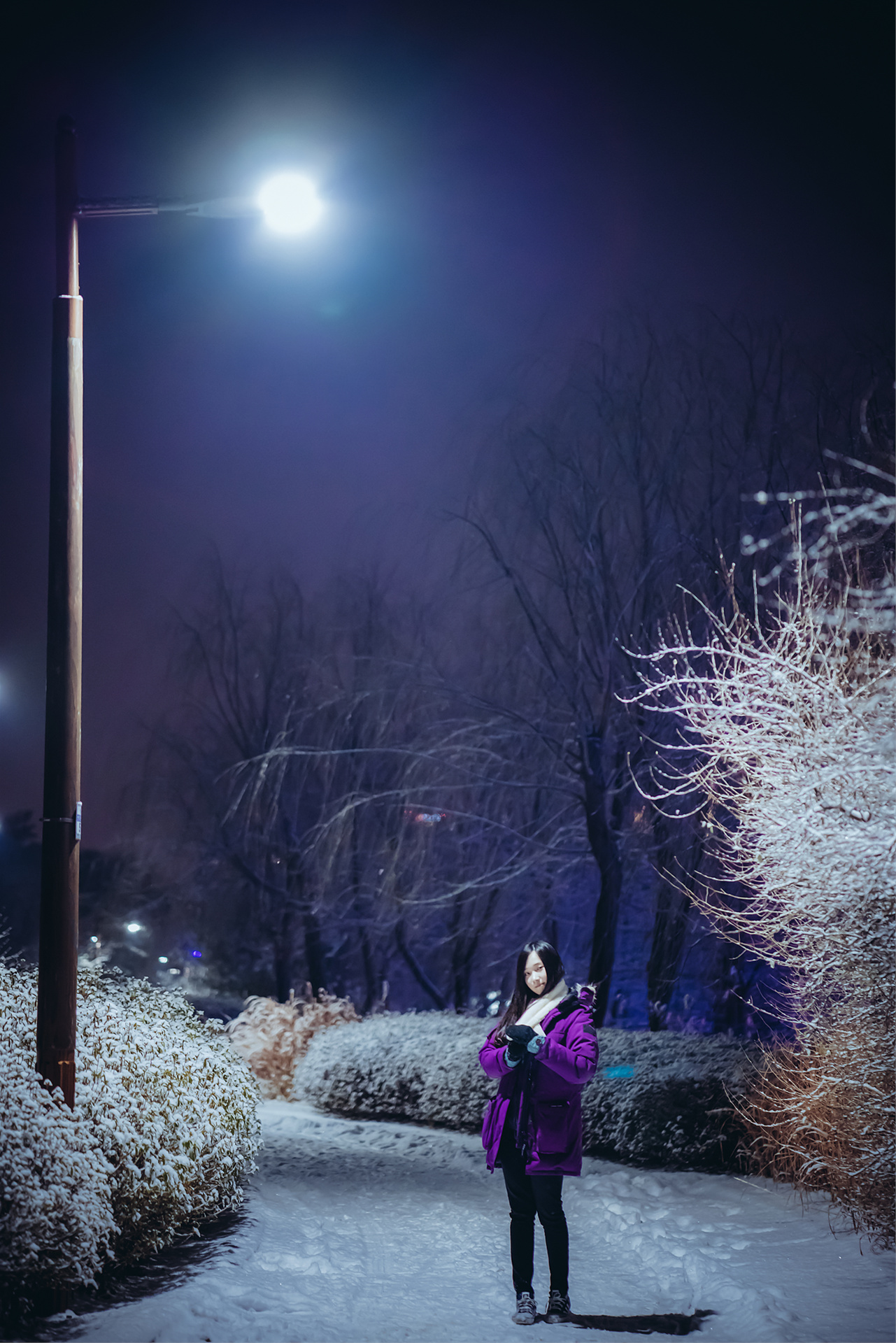 BamBi Lacerta Photography [101P-473MB]