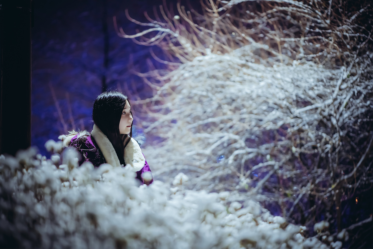 BamBi Lacerta Photography [101P-473MB]