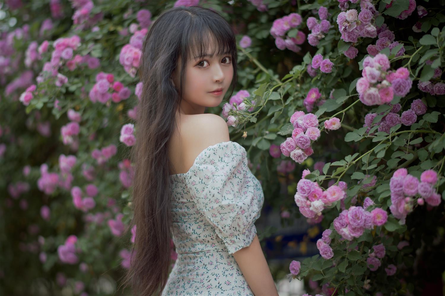 黑猫猫 蔷薇2 [27P-286MB]