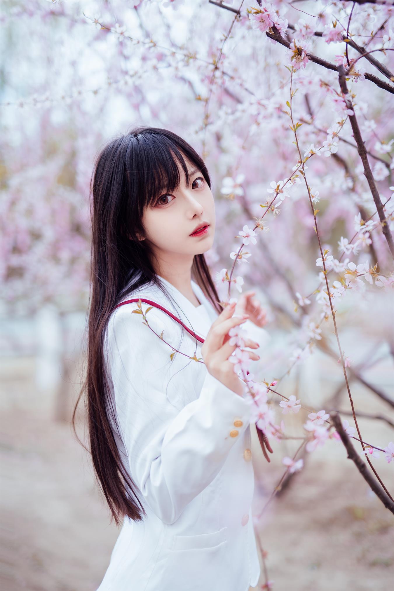 Shika小鹿鹿 樱花 [13P-92MB]