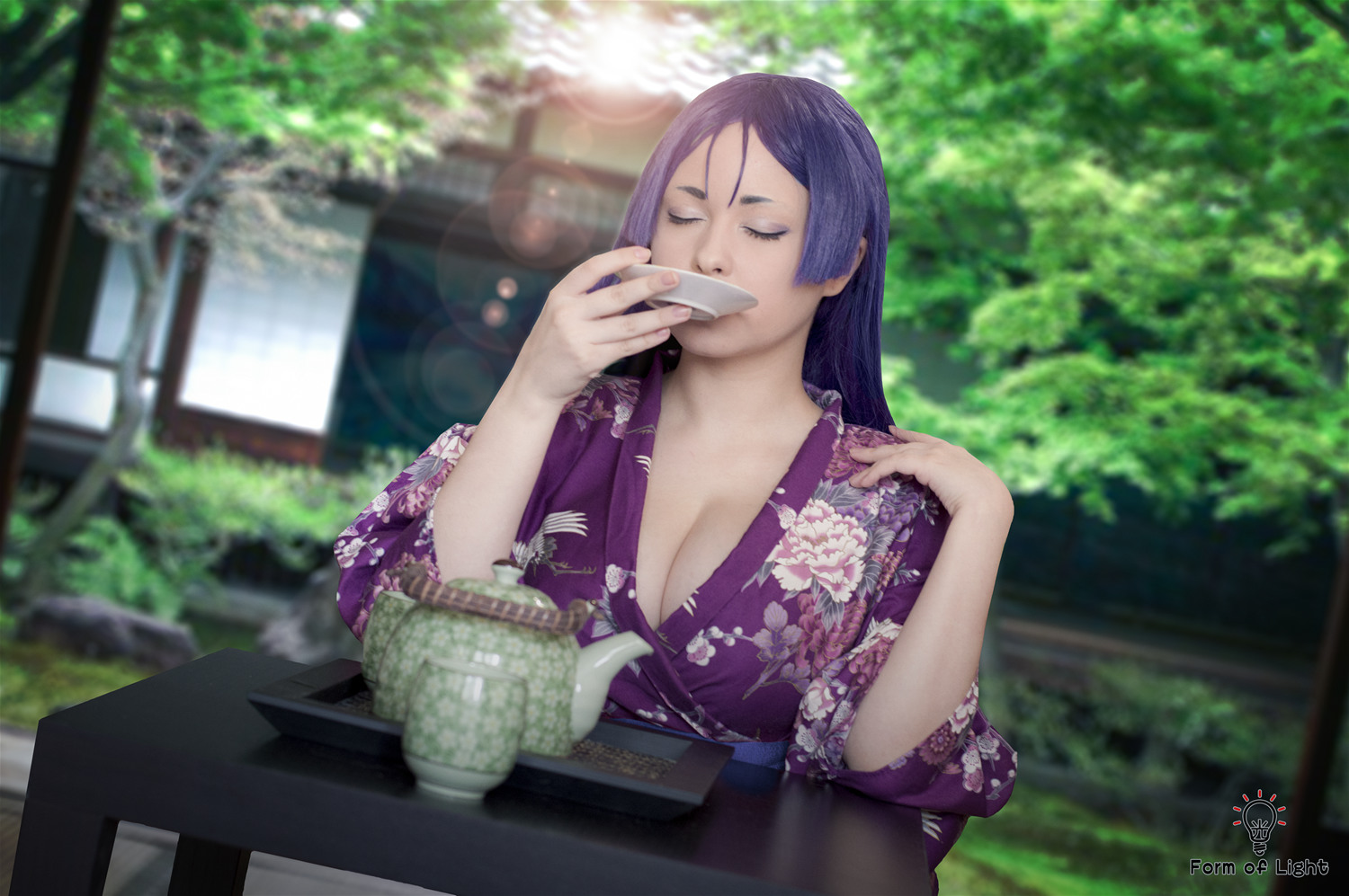 Yoshinobi Minamoto no Raikou [13P-186MB]