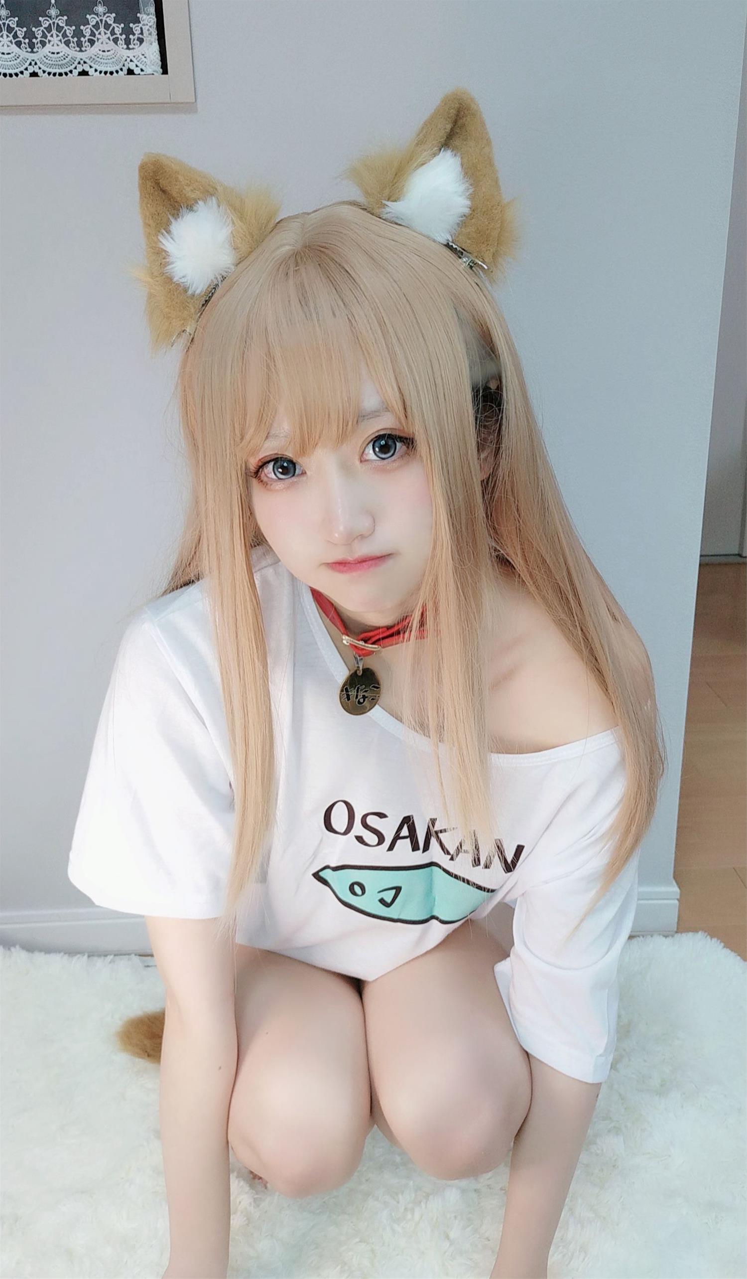 千阳 40原设猫猫 [13P-15MB]