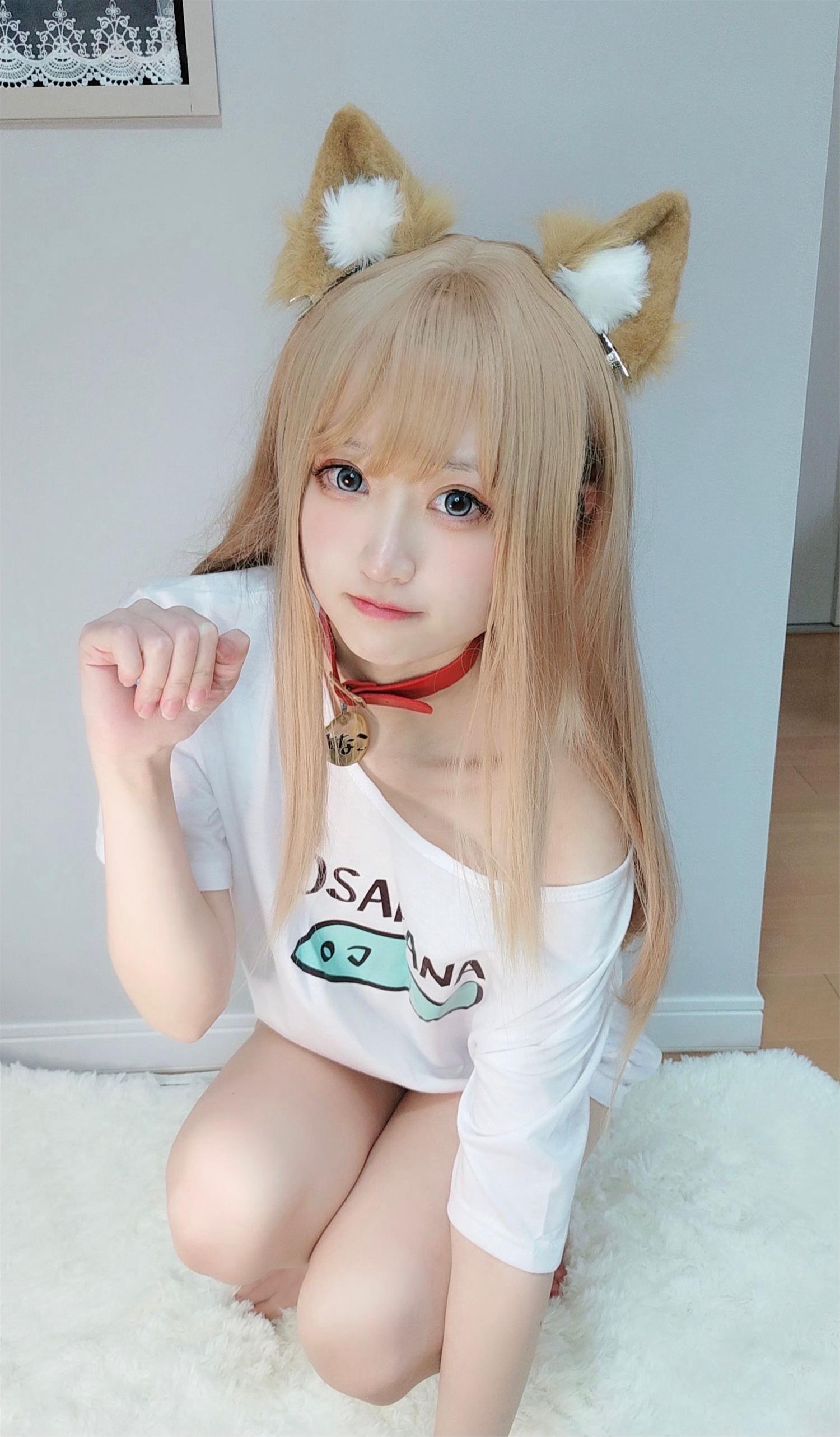 千阳 40原设猫猫 [13P-15MB]