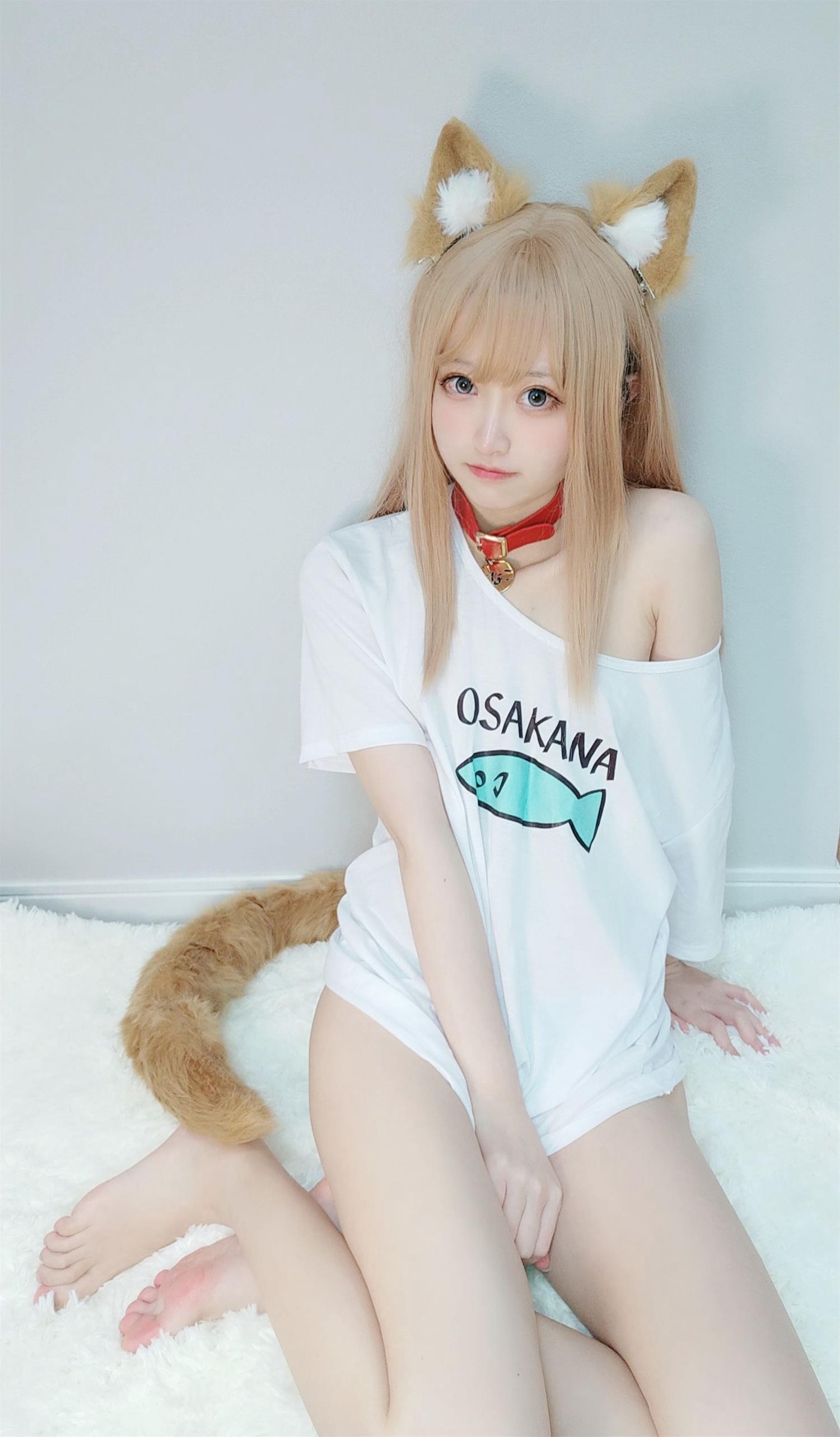 千阳 40原设猫猫 [13P-15MB]