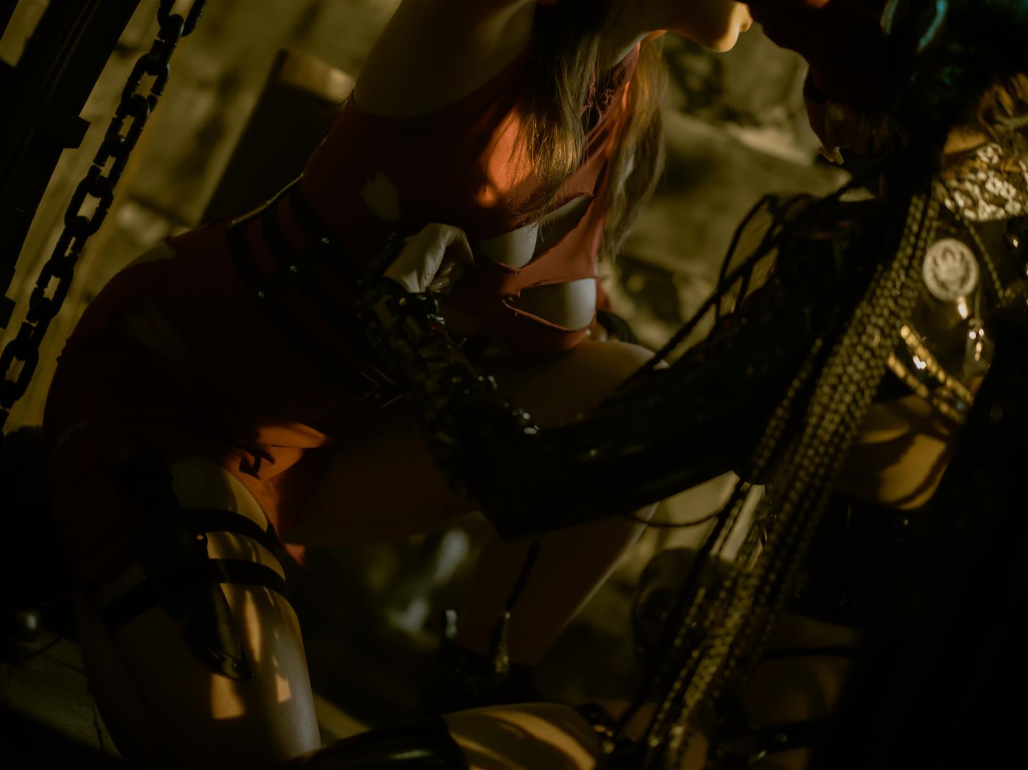 秋和柯基 忍者的刺杀 [50P-553MB]