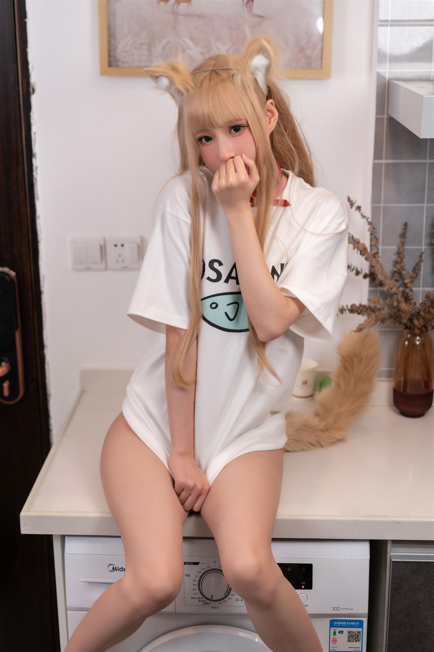 西园寺南歌 黄豆粉养猫日常 [51P-347MB]