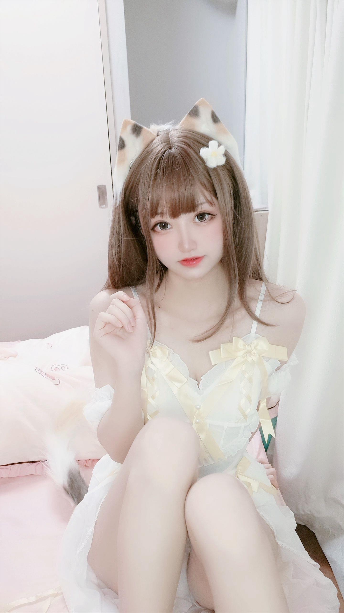 千阳 三花猫～ [12P-12MB]