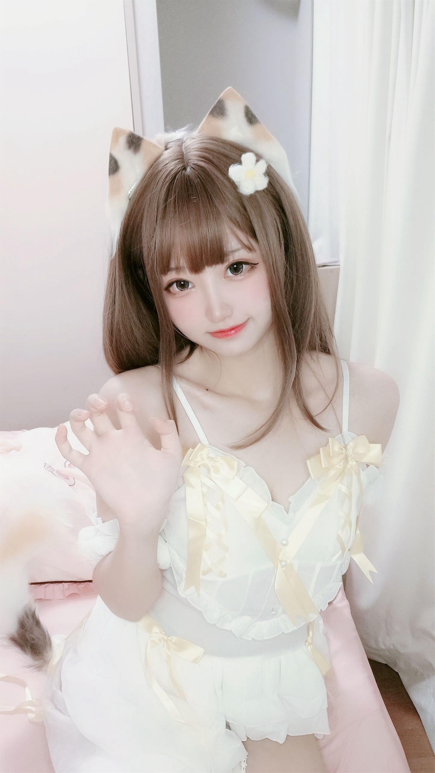 千阳 三花猫～ [12P-12MB]