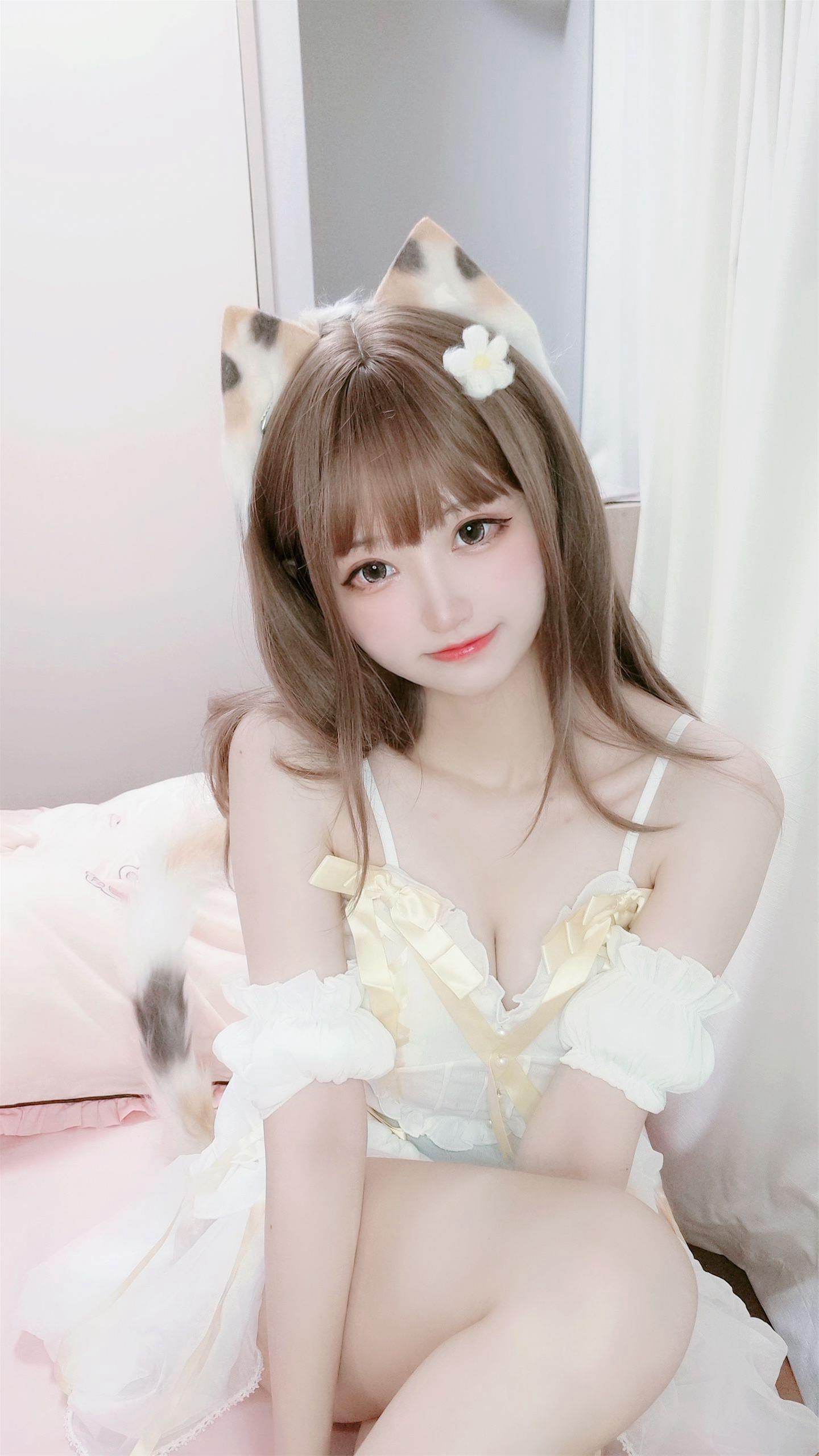 千阳 三花猫～ [12P-12MB]