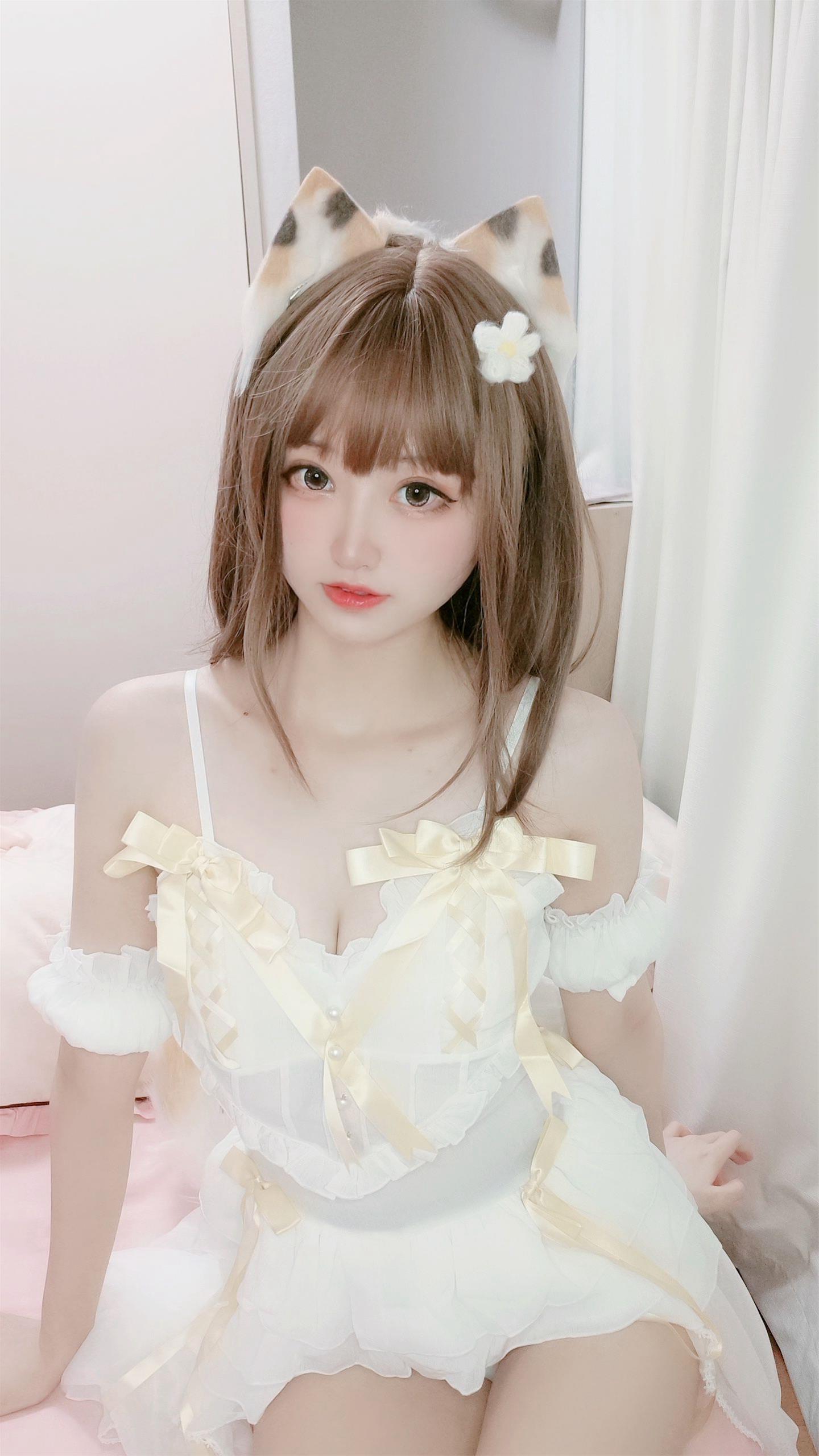 千阳 三花猫～ [12P-12MB]