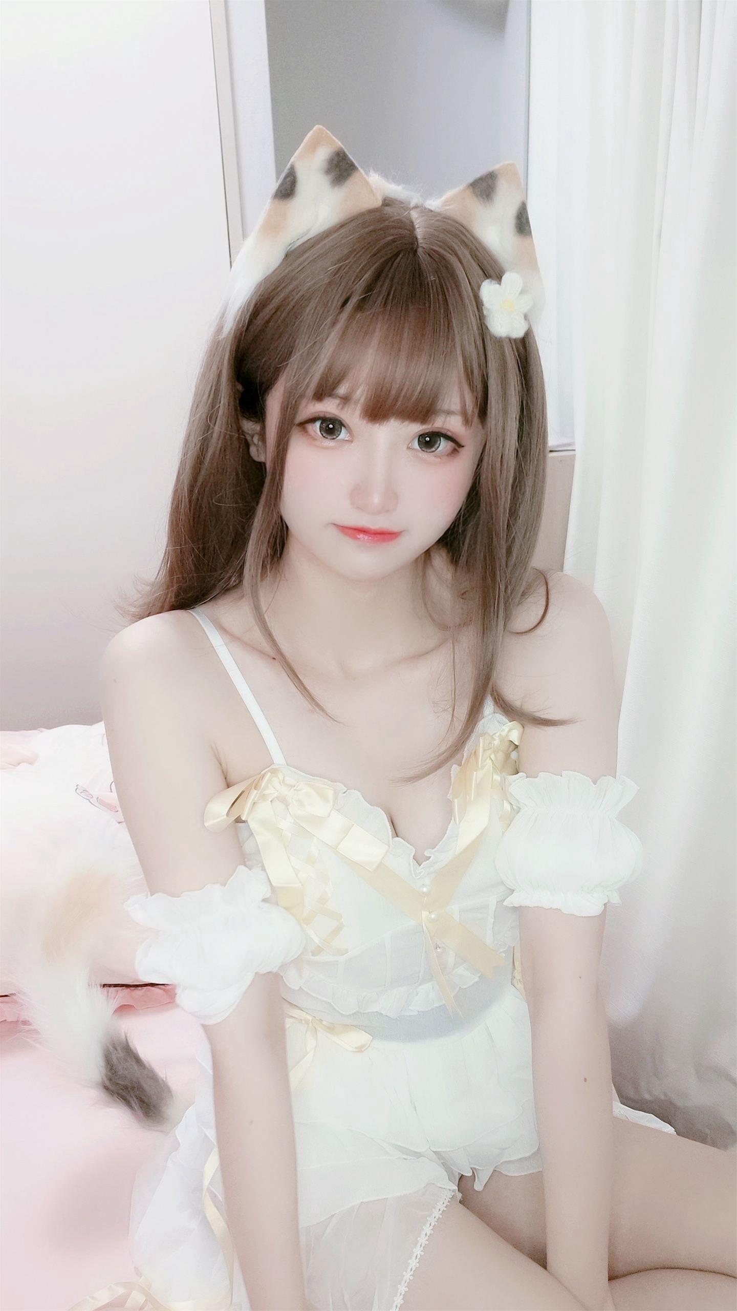 千阳 三花猫～ [12P-12MB]