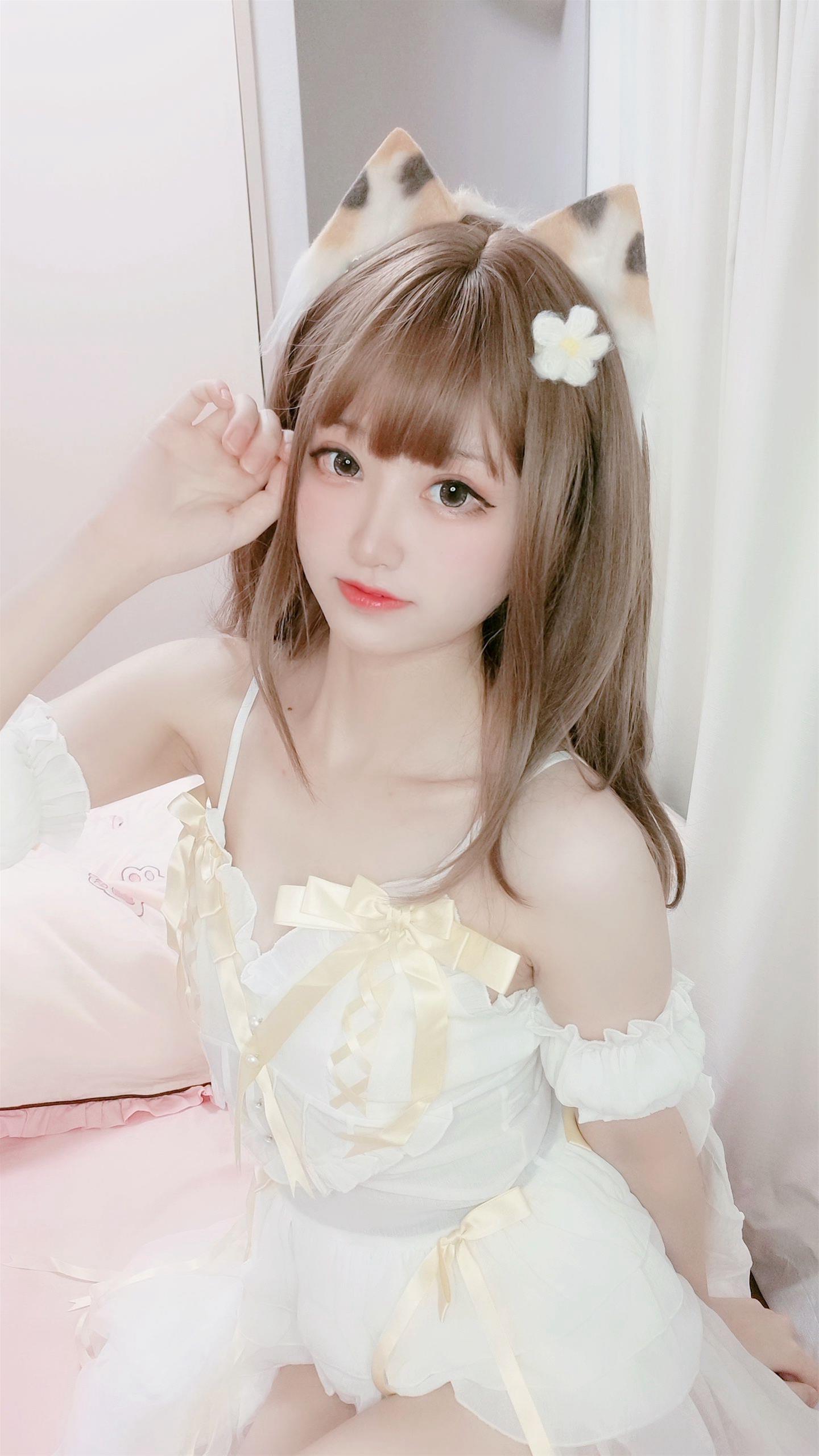 千阳 三花猫～ [12P-12MB]