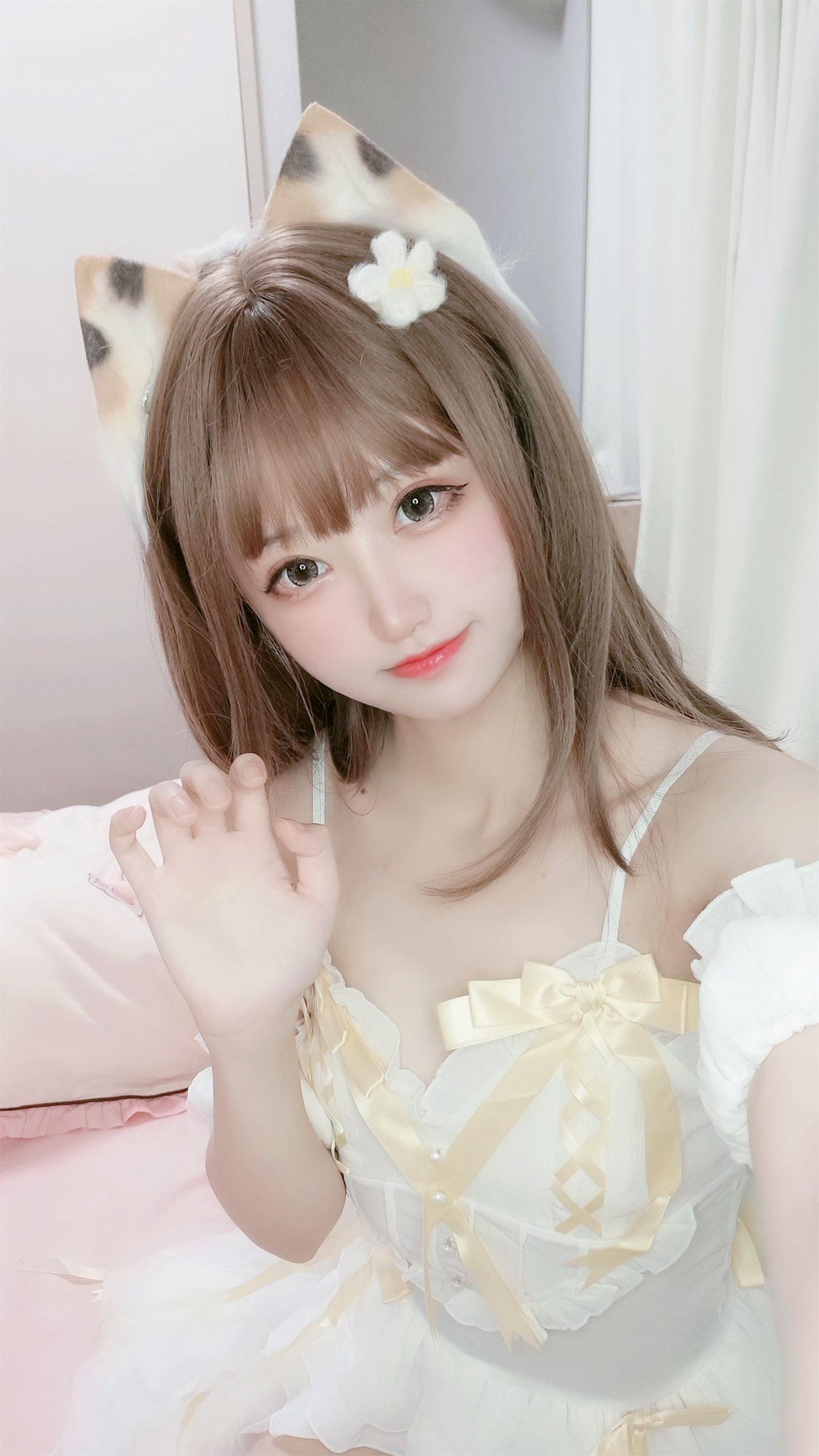 千阳 三花猫～ [12P-12MB]