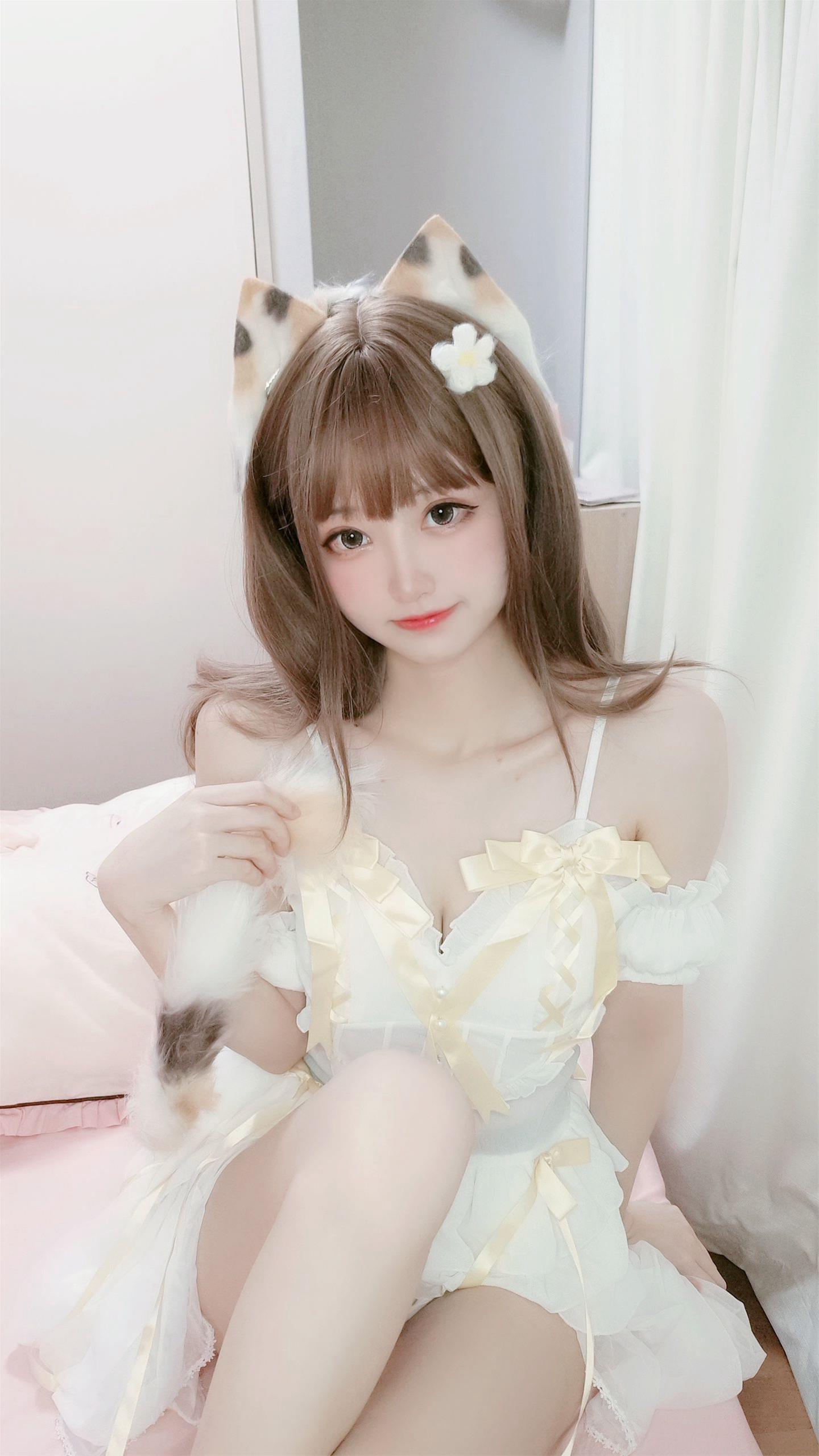 千阳 三花猫～ [12P-12MB]
