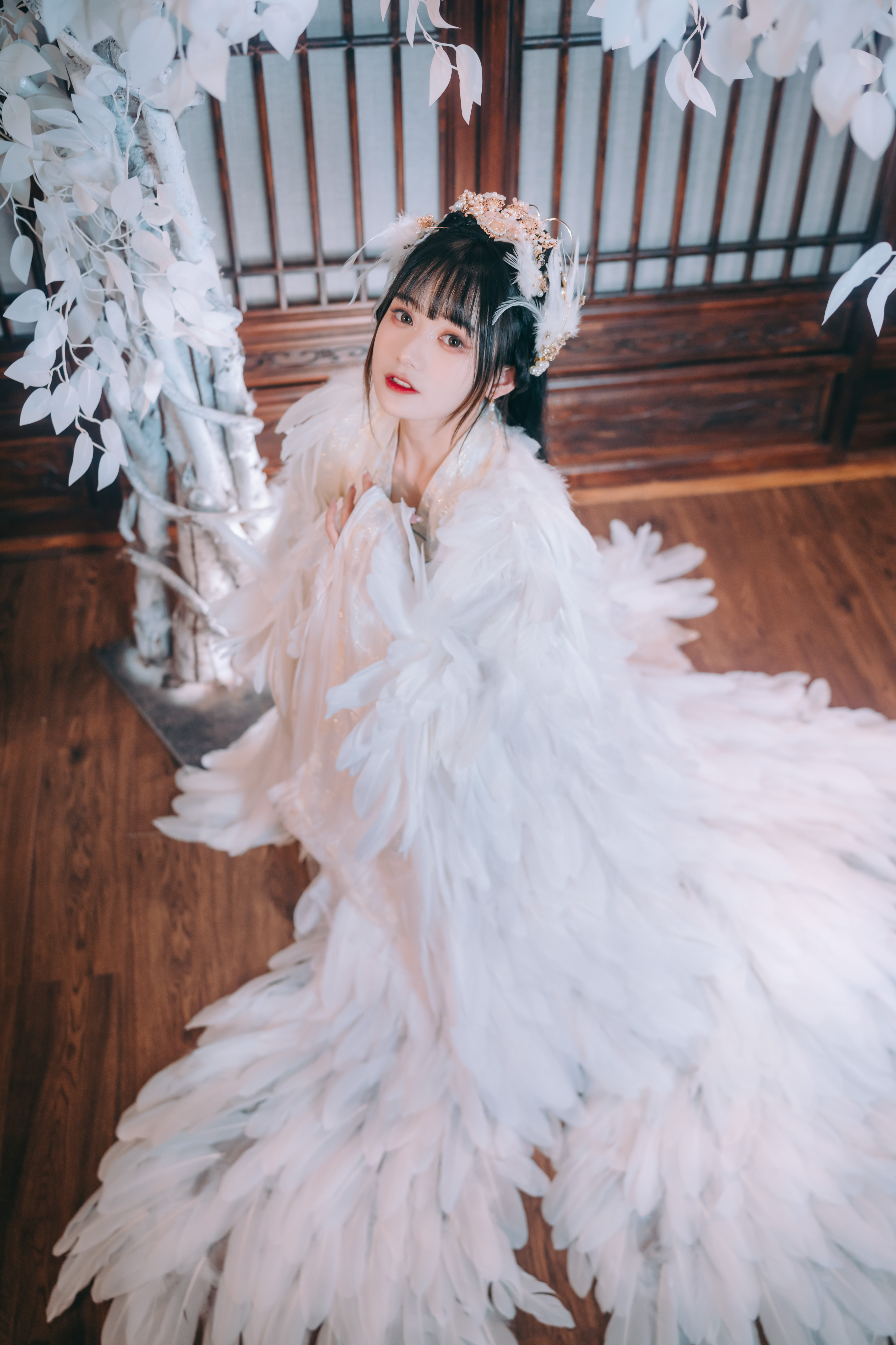 兔子zzz 吉祥鸟 [21P-153MB]