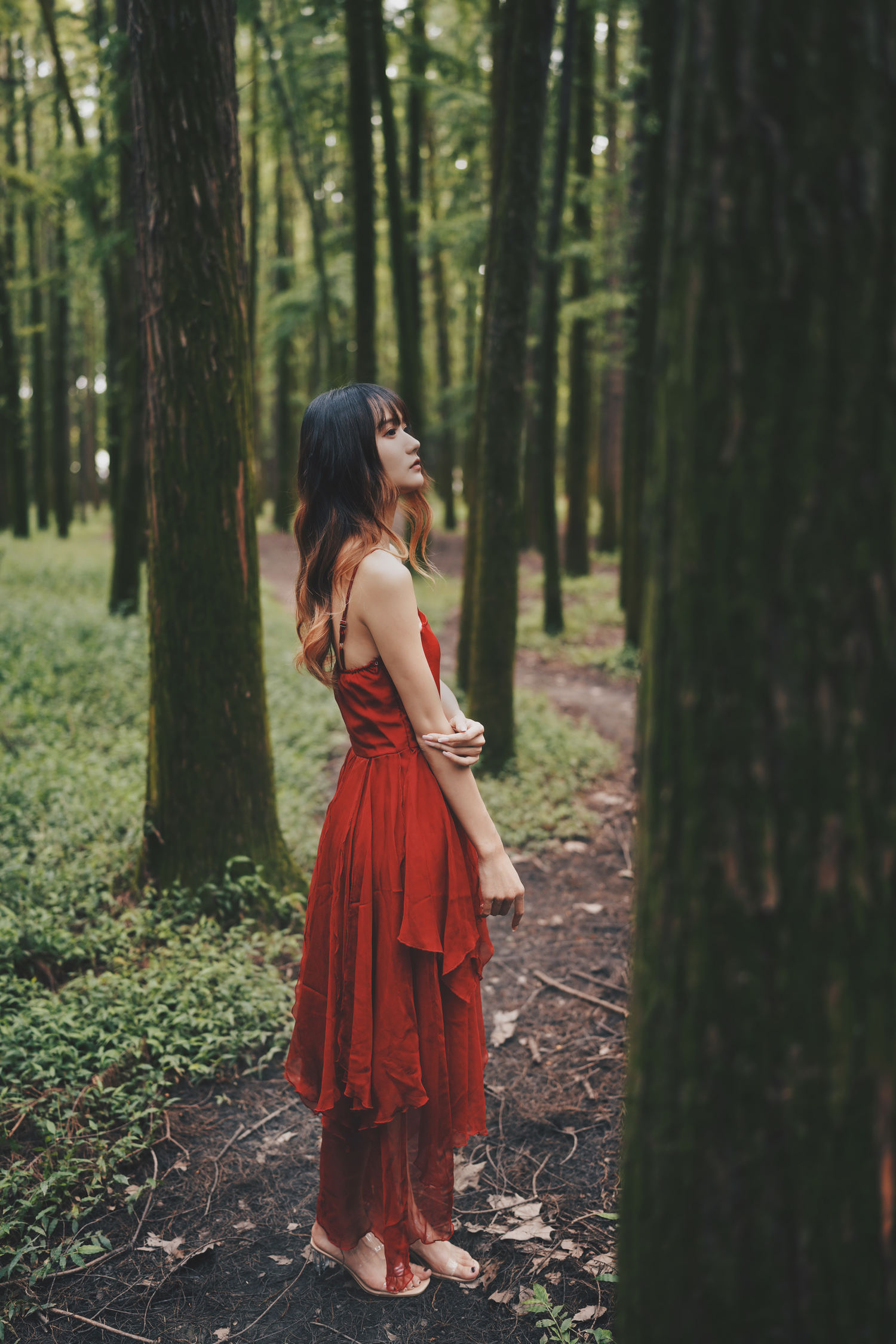 兔子zzz 闯入迷雾森林 [25P-106MB]