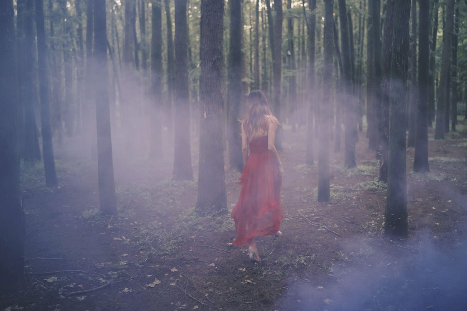 兔子zzz 闯入迷雾森林 [25P-106MB]