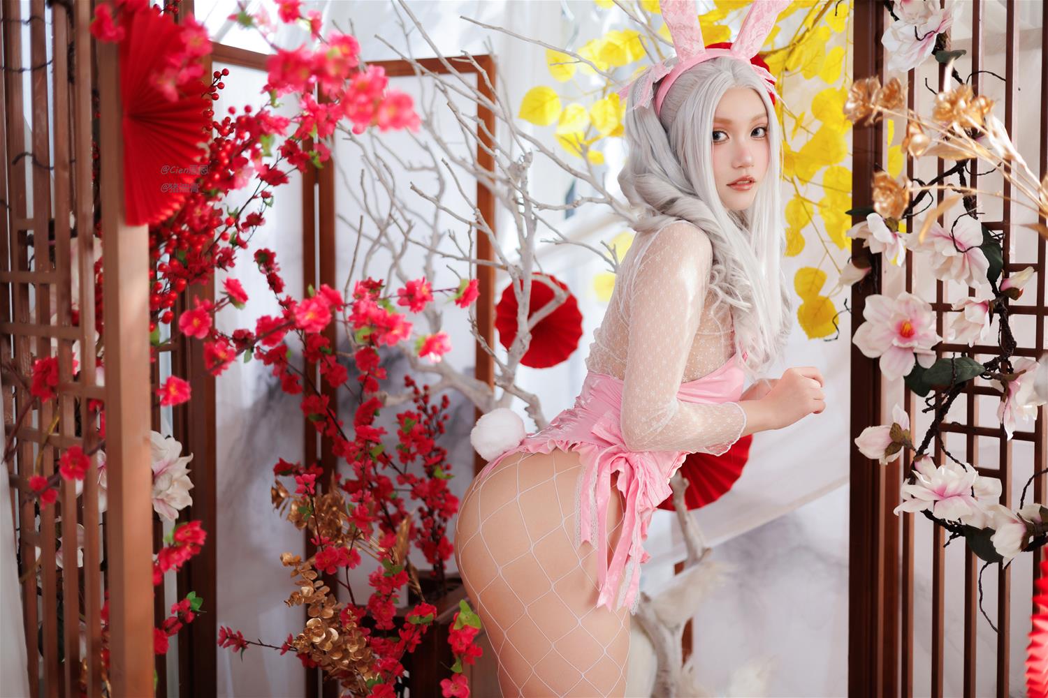 Cien恩恩 兔年兔兔 [34P-193MB]