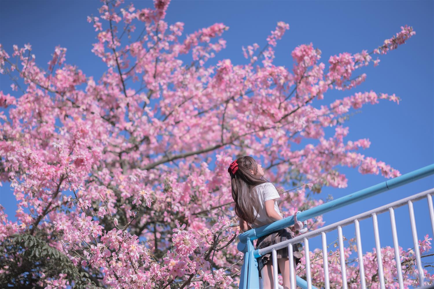 萌芽儿o0 异木棉花 [27P-435MB]