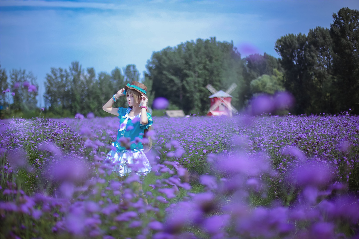 汐兔子 - 南小鸟薰衣草 [9P]