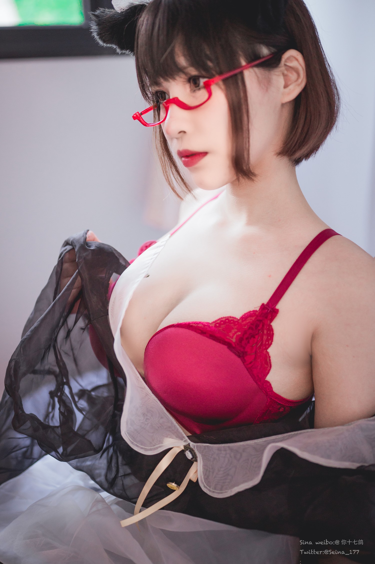 你十七鸽 - 透明女仆 [48P]