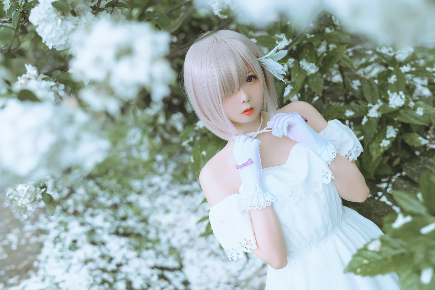 嶋葵 - 玛修二周年礼服 [20P]