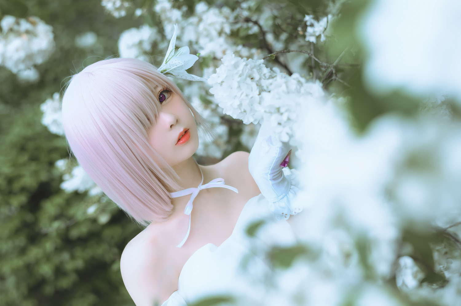 嶋葵 - 玛修二周年礼服 [20P]