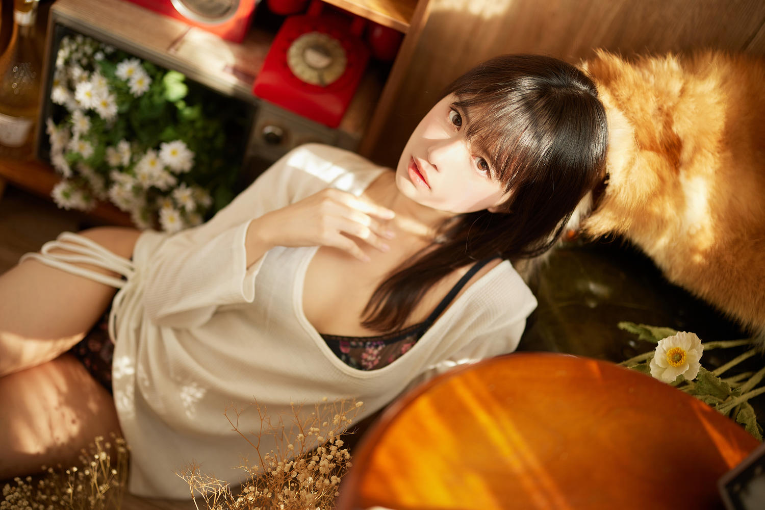 Shika小鹿鹿 鹳鸟踟蹰 [40P-373MB]