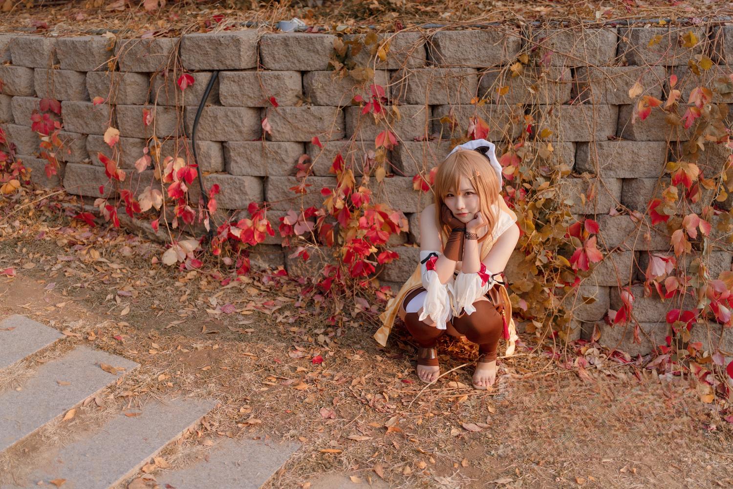 阿半今天很开心 莱莎的炼金工房 莱莎 [29P-310MB]