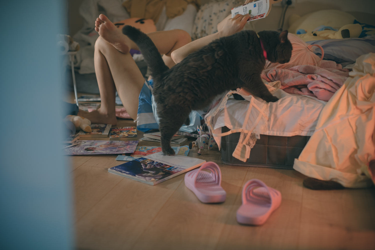 神沢永莉 别当欧尼酱 [55P3V-1.05GB]