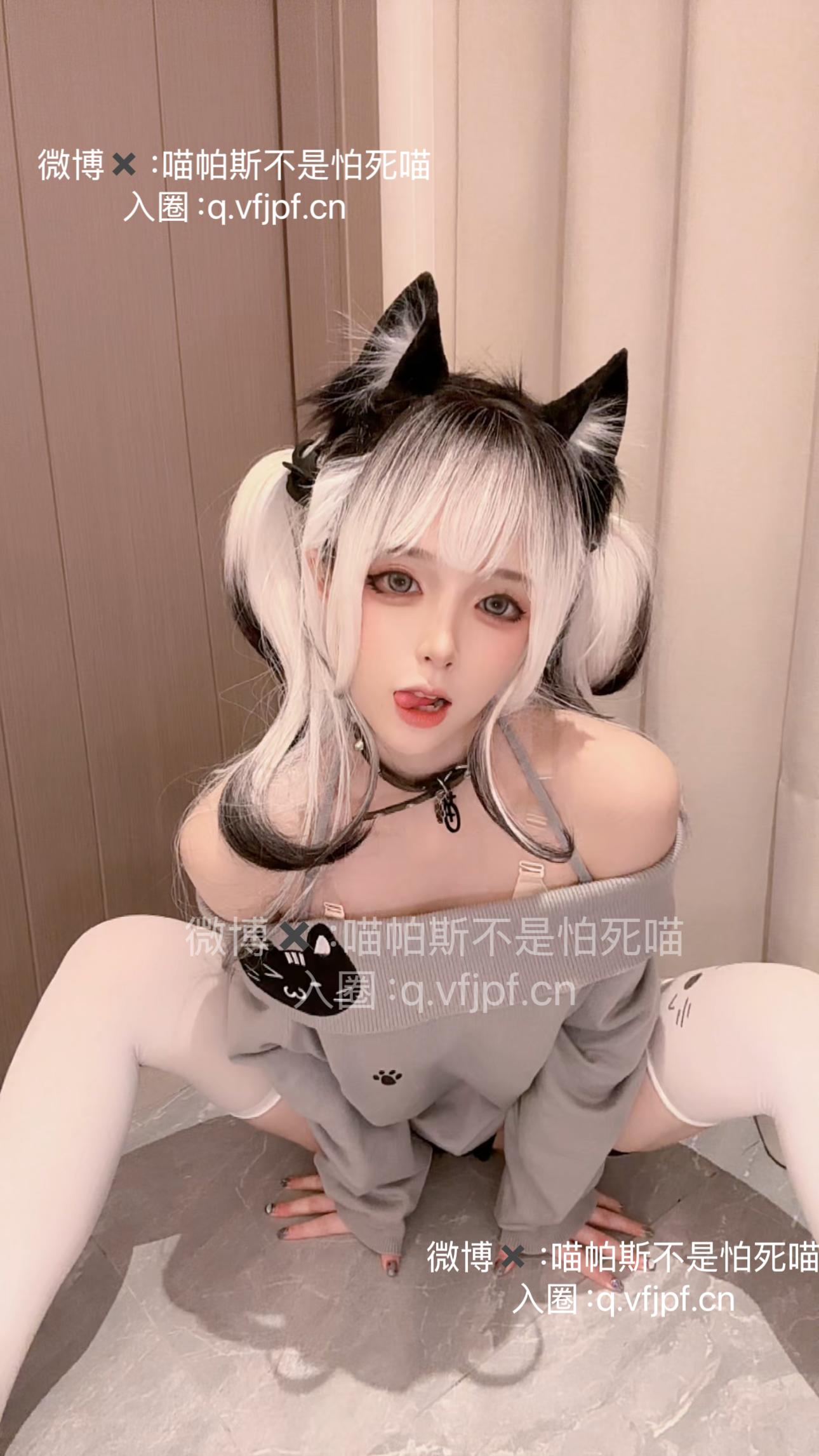 喵帕斯不是怕死喵 日常白丝喵 [28P-64MB]