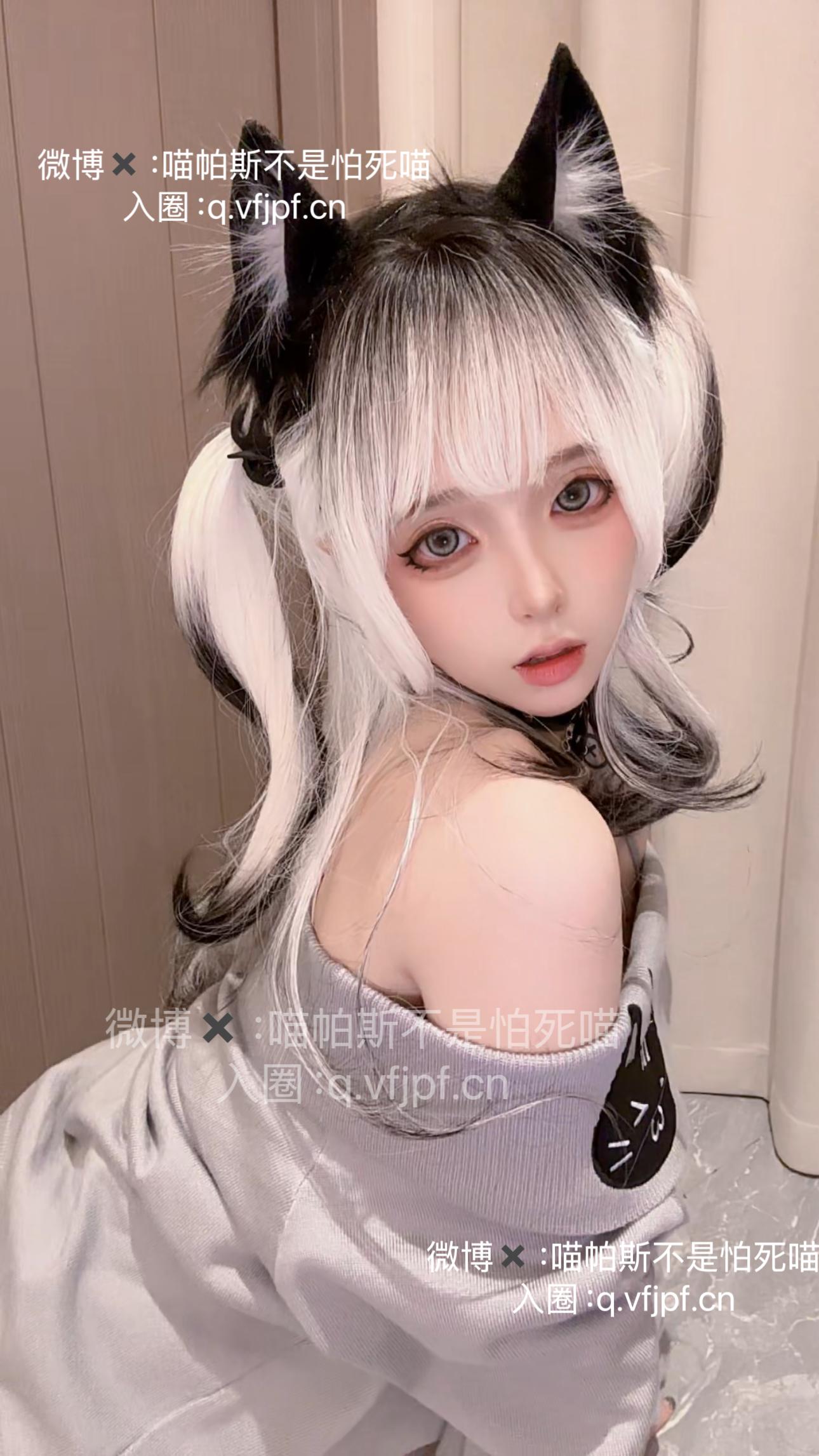 喵帕斯不是怕死喵 日常白丝喵 [28P-64MB]