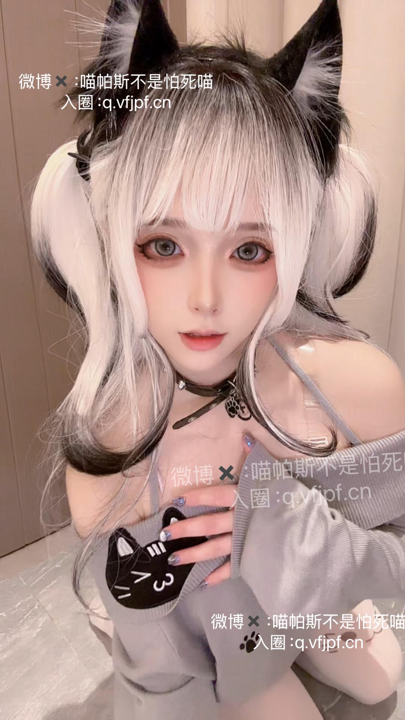 喵帕斯不是怕死喵 日常白丝喵 [28P-64MB]