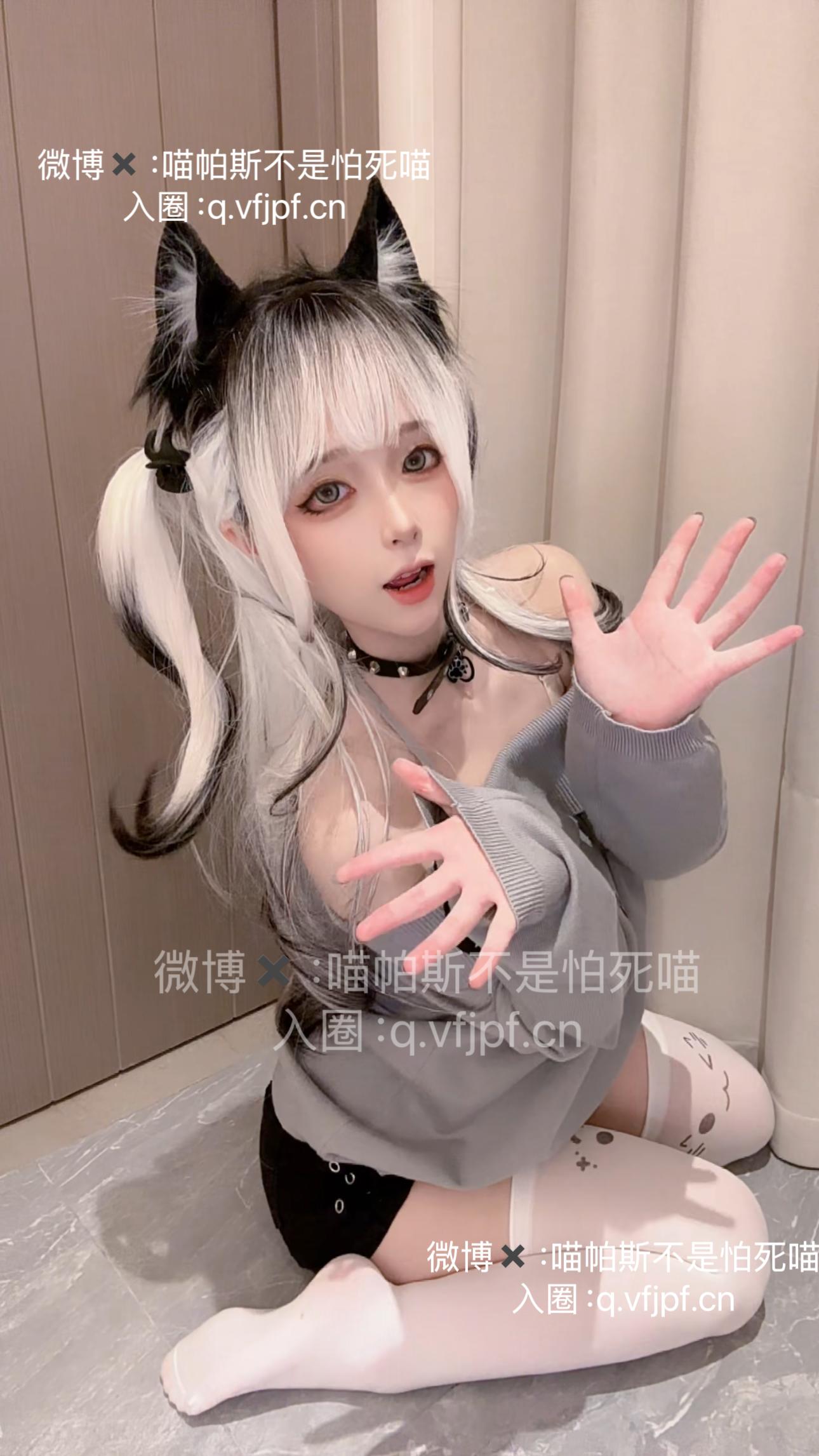 喵帕斯不是怕死喵 日常白丝喵 [28P-64MB]