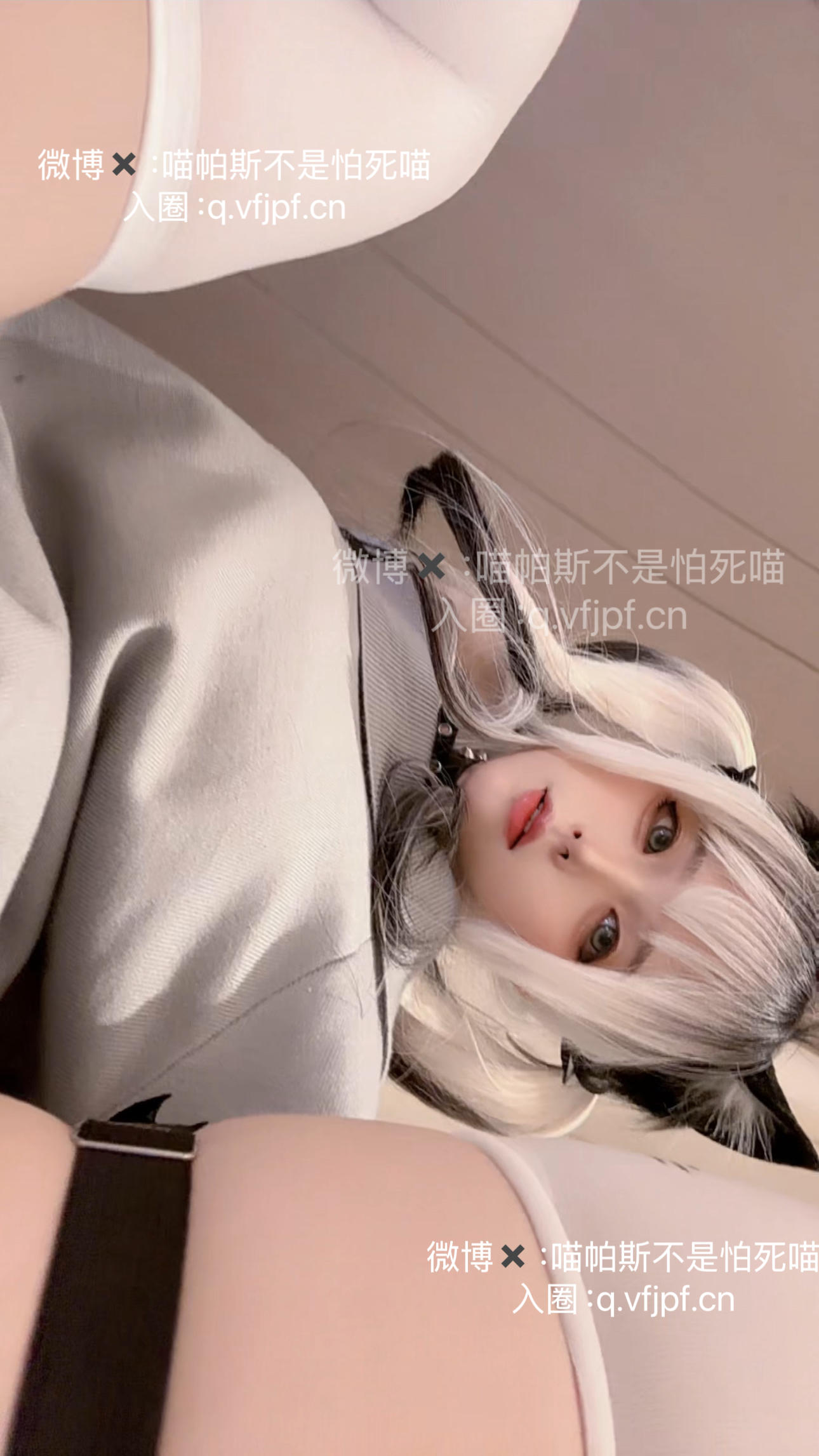 喵帕斯不是怕死喵 日常白丝喵 [28P-64MB]