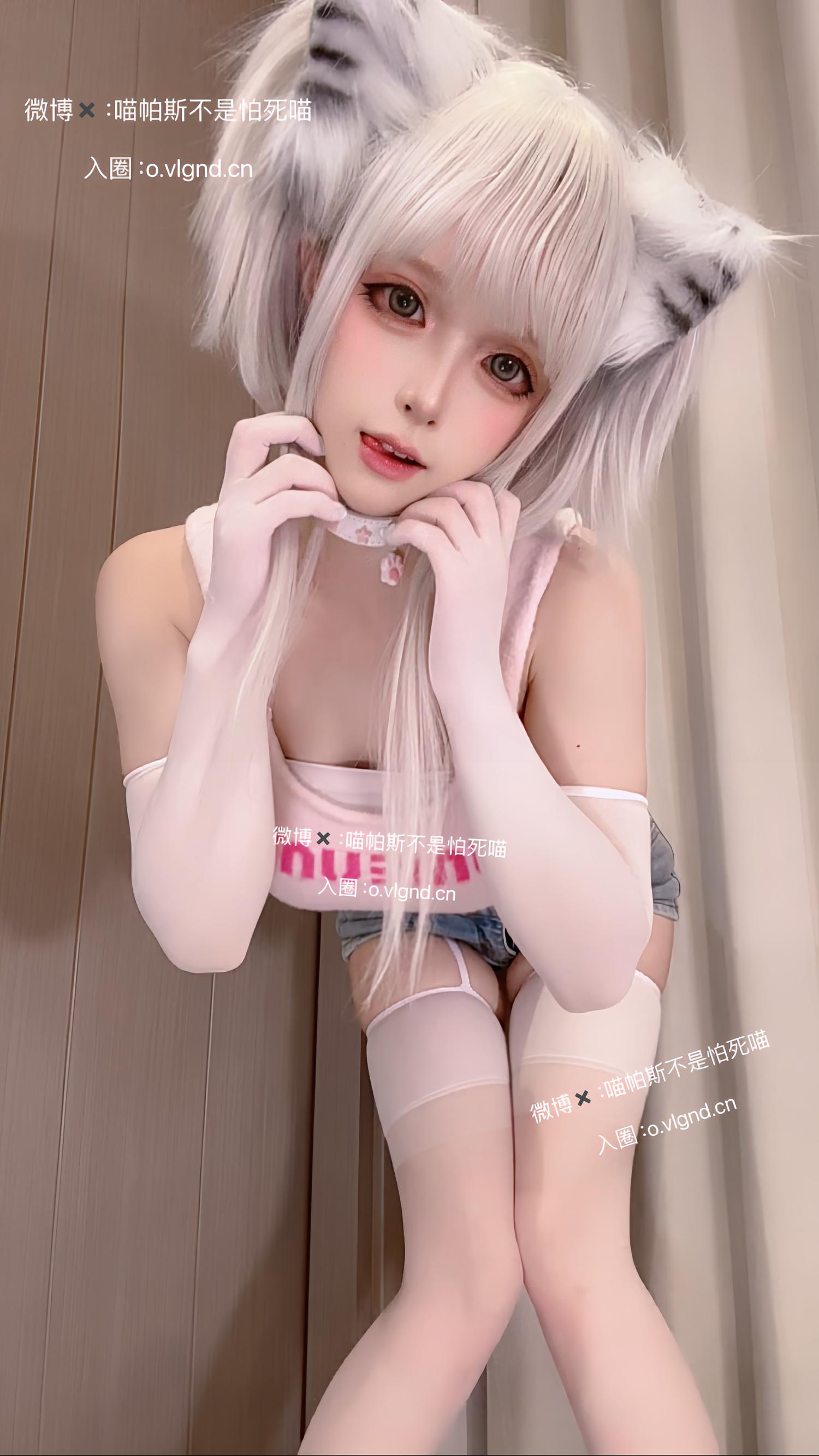 喵帕斯不是怕死喵 日常喵 [26P1V-187MB]