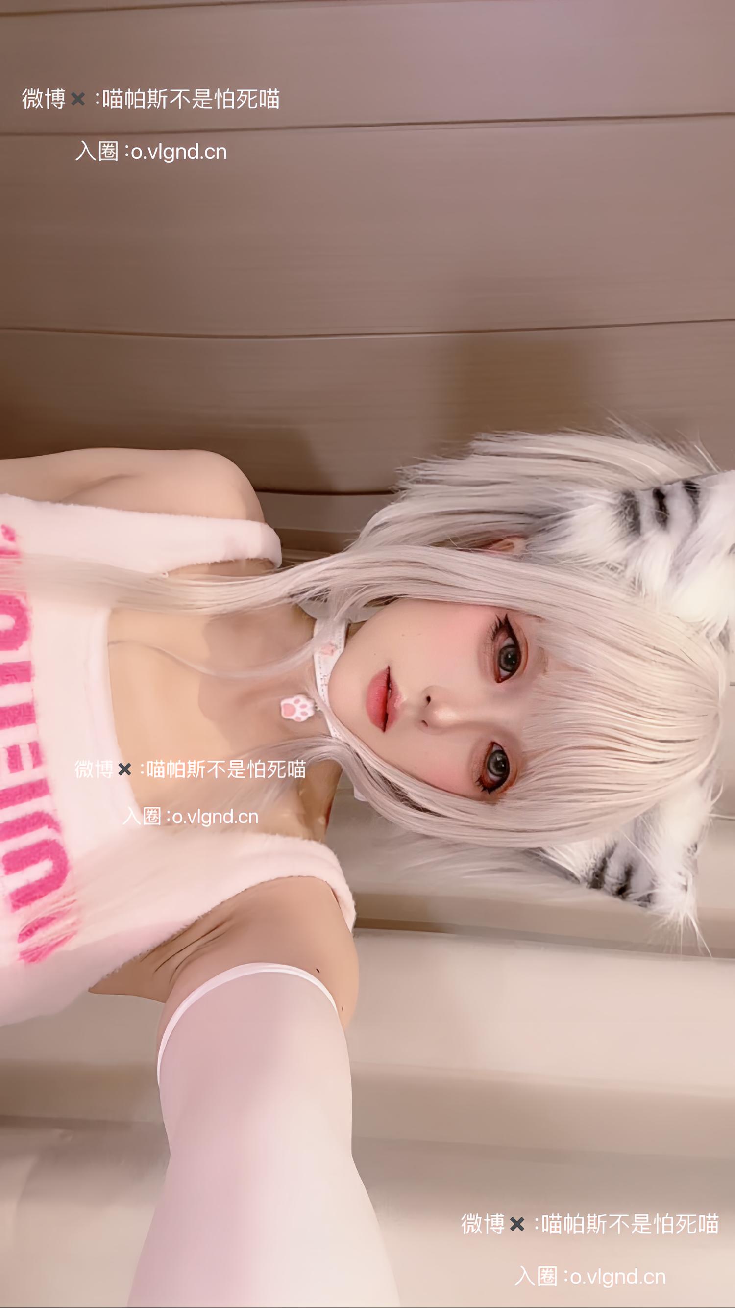 喵帕斯不是怕死喵 日常喵 [26P1V-187MB]