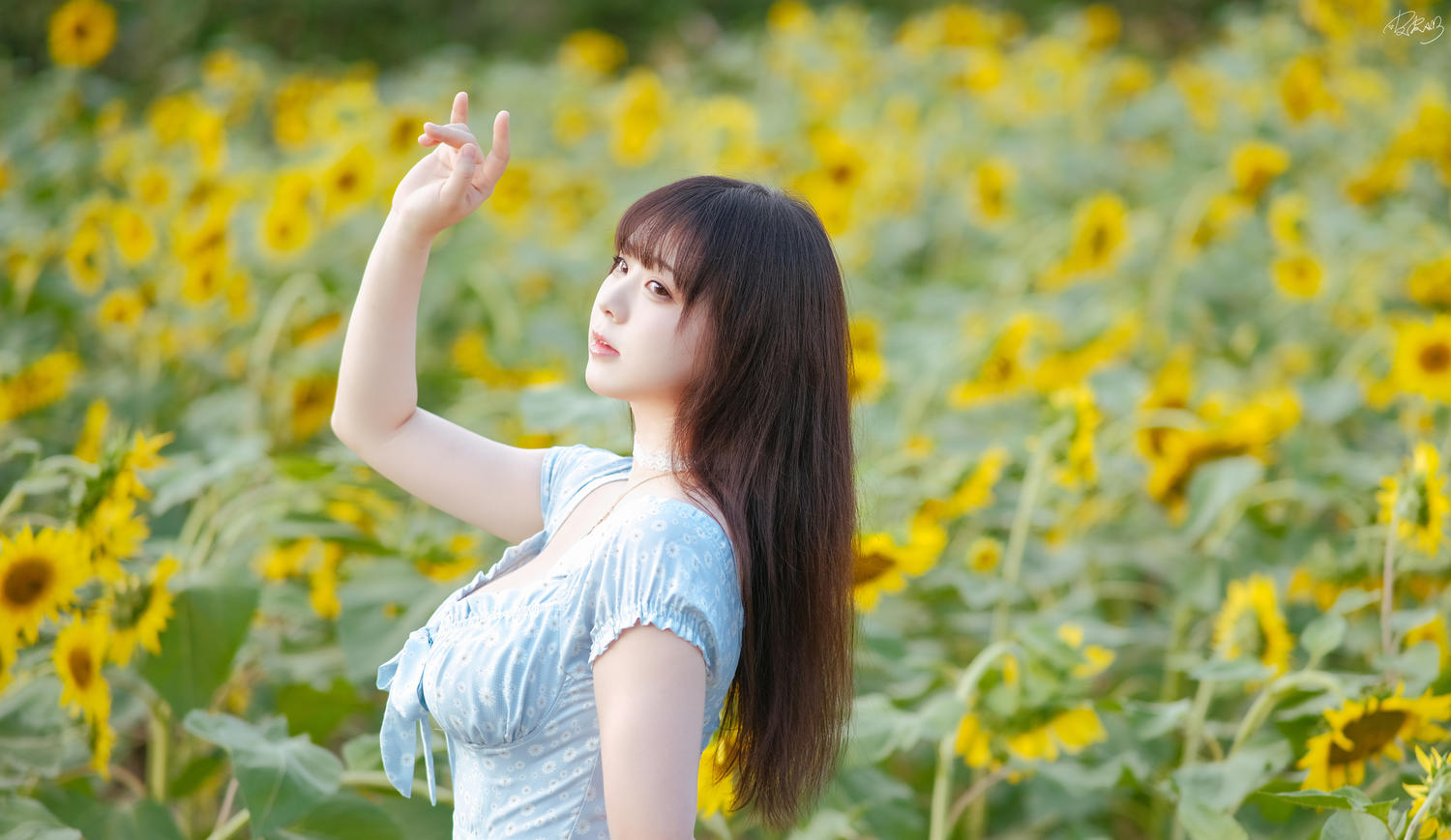 皮皮奶可可爱了啦 彼女向日葵 [35P-251MB]