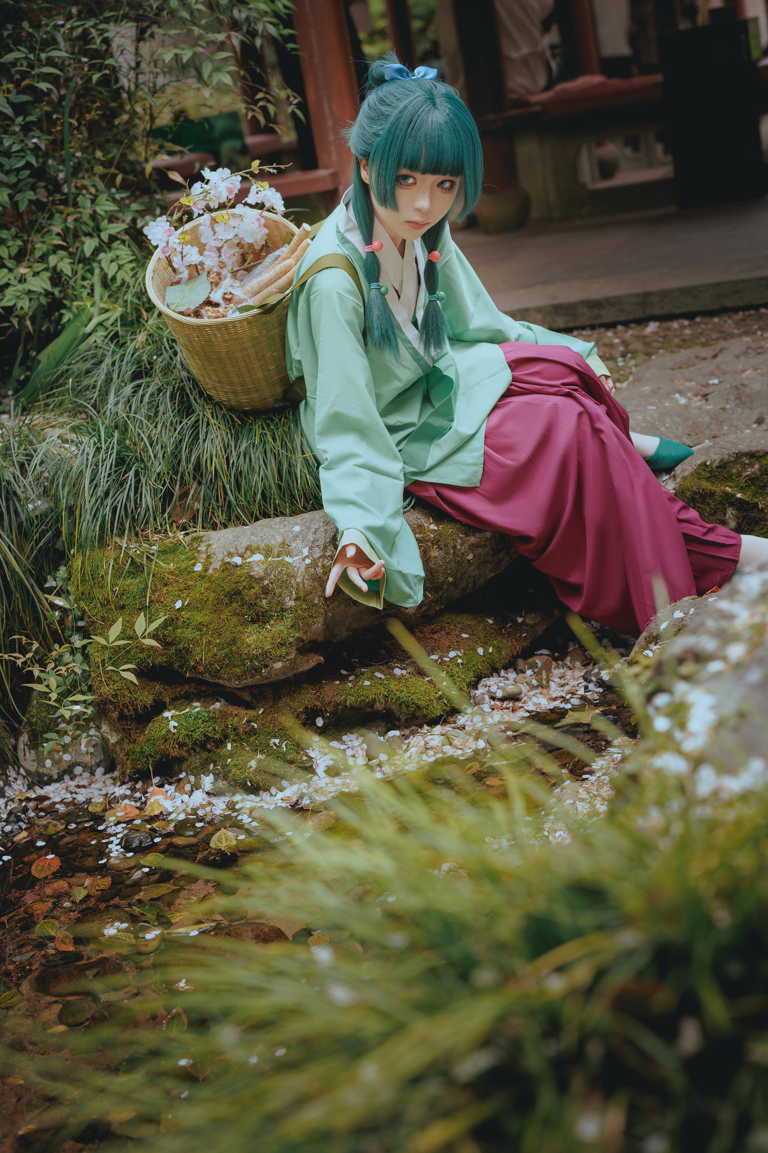 矢量鱼 Maomao [52P-327MB]