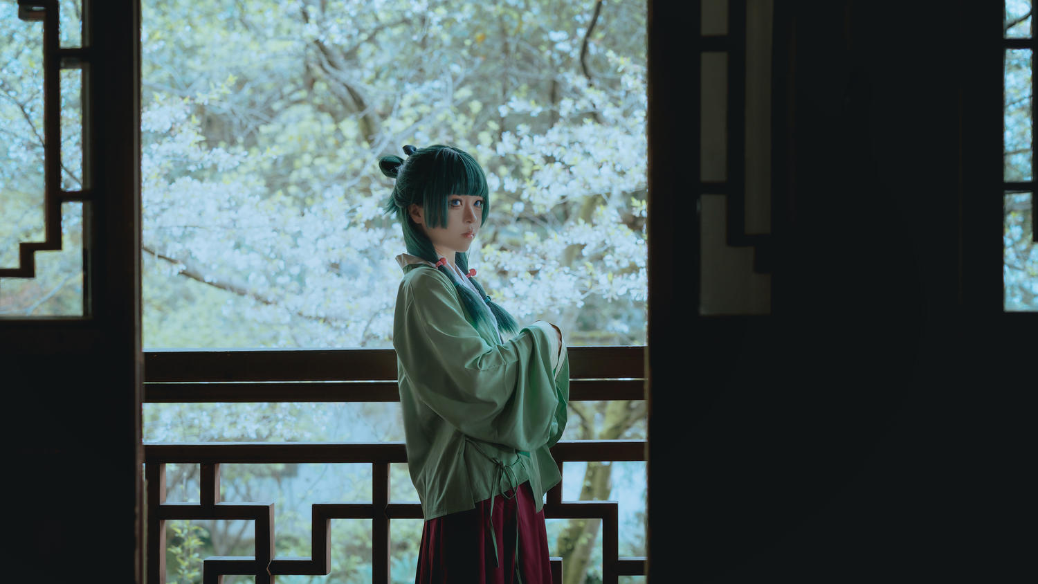 矢量鱼 Maomao [52P-327MB]