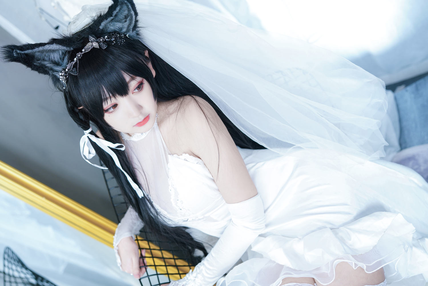 恩田直幸 - 犬婚纱 [48P]