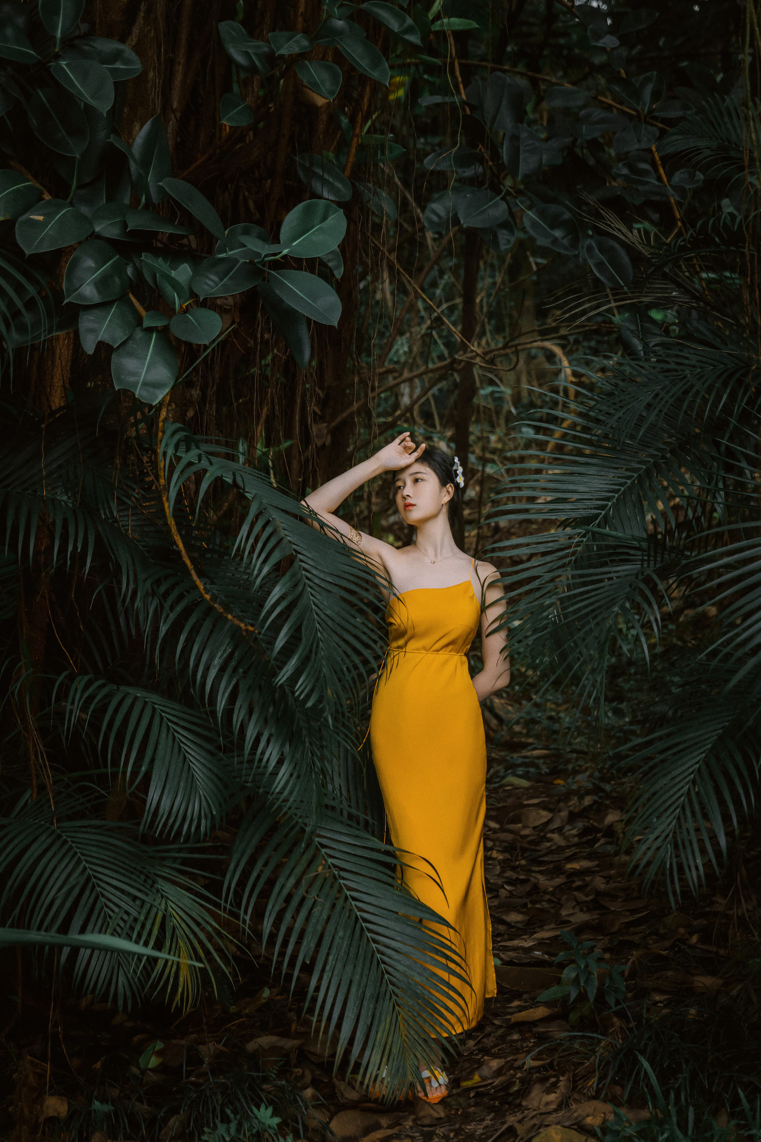 年年 - 蒹葭 [36P]