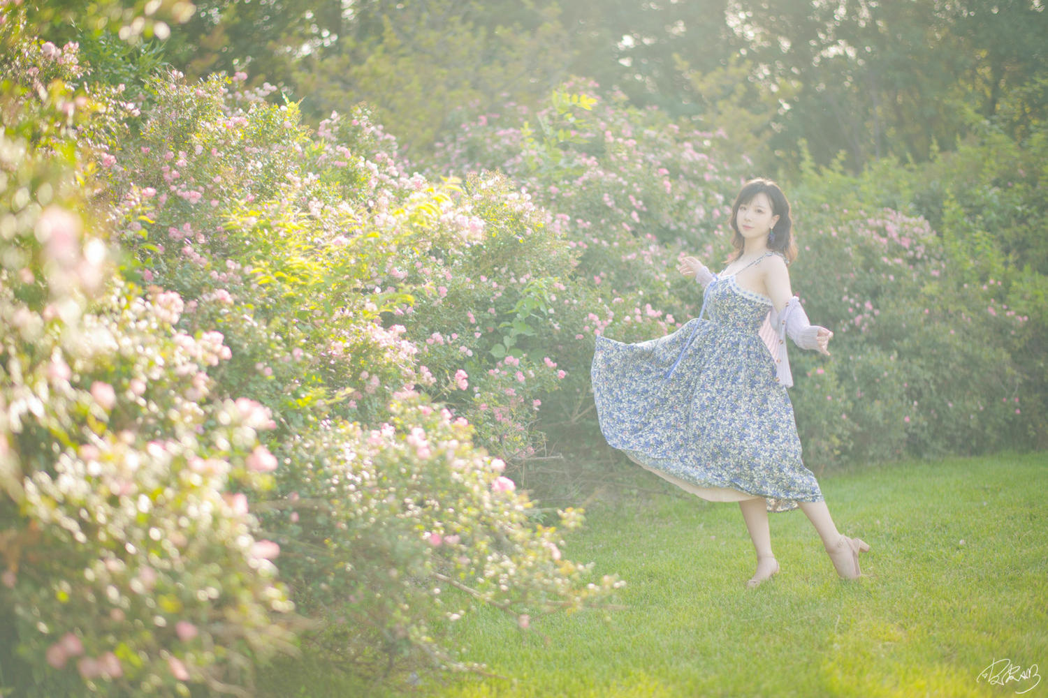 皮皮奶可可爱了啦 蔷薇花 [37P-787MB]