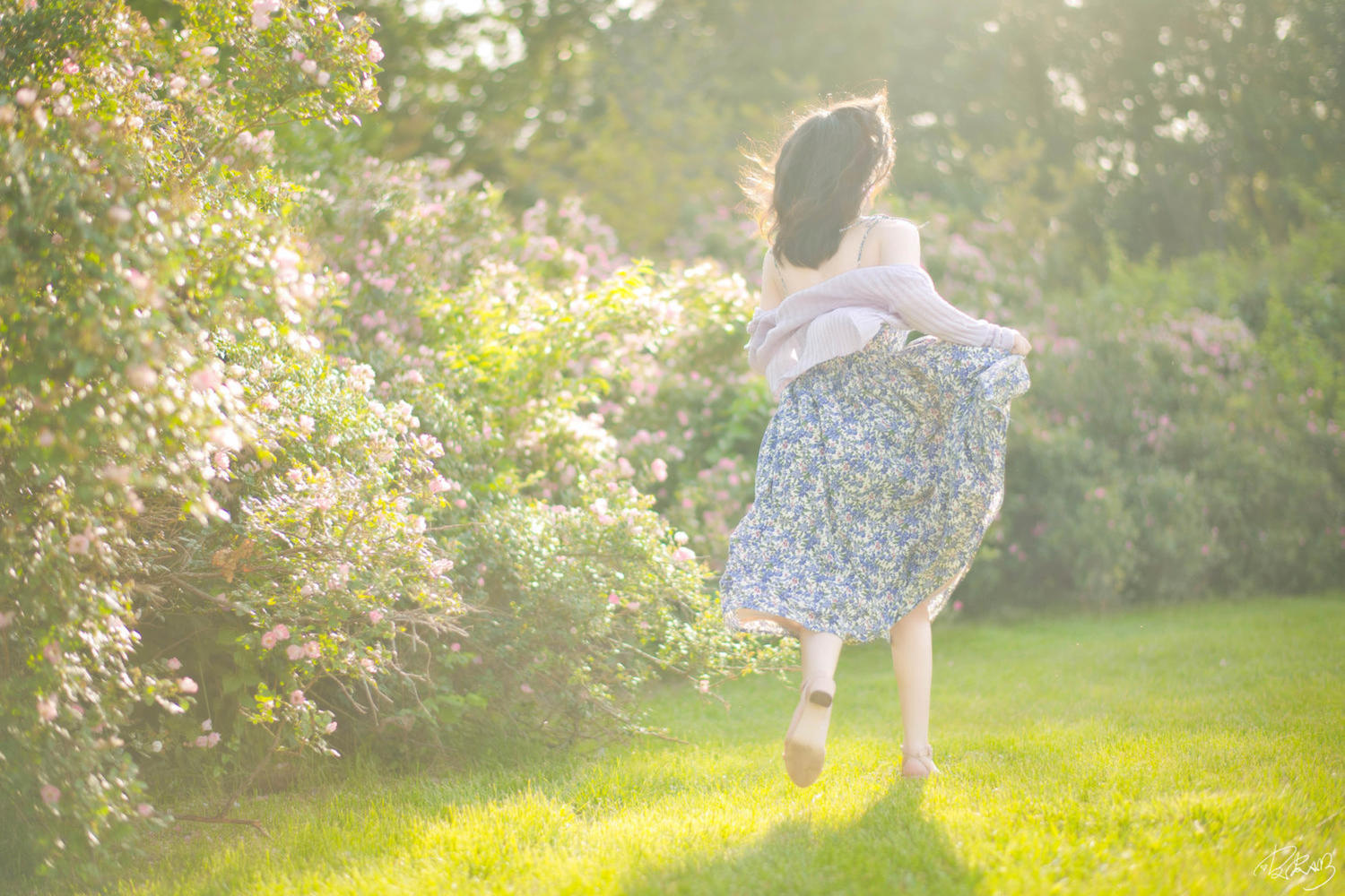 皮皮奶可可爱了啦 蔷薇花 [37P-787MB]